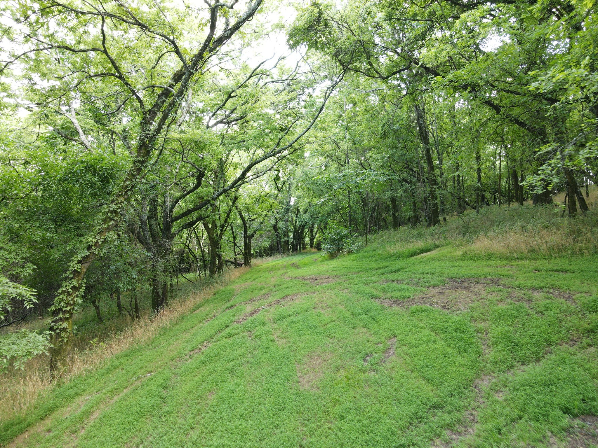 Photo 6 of 11 of 0 Columbia Highway land
