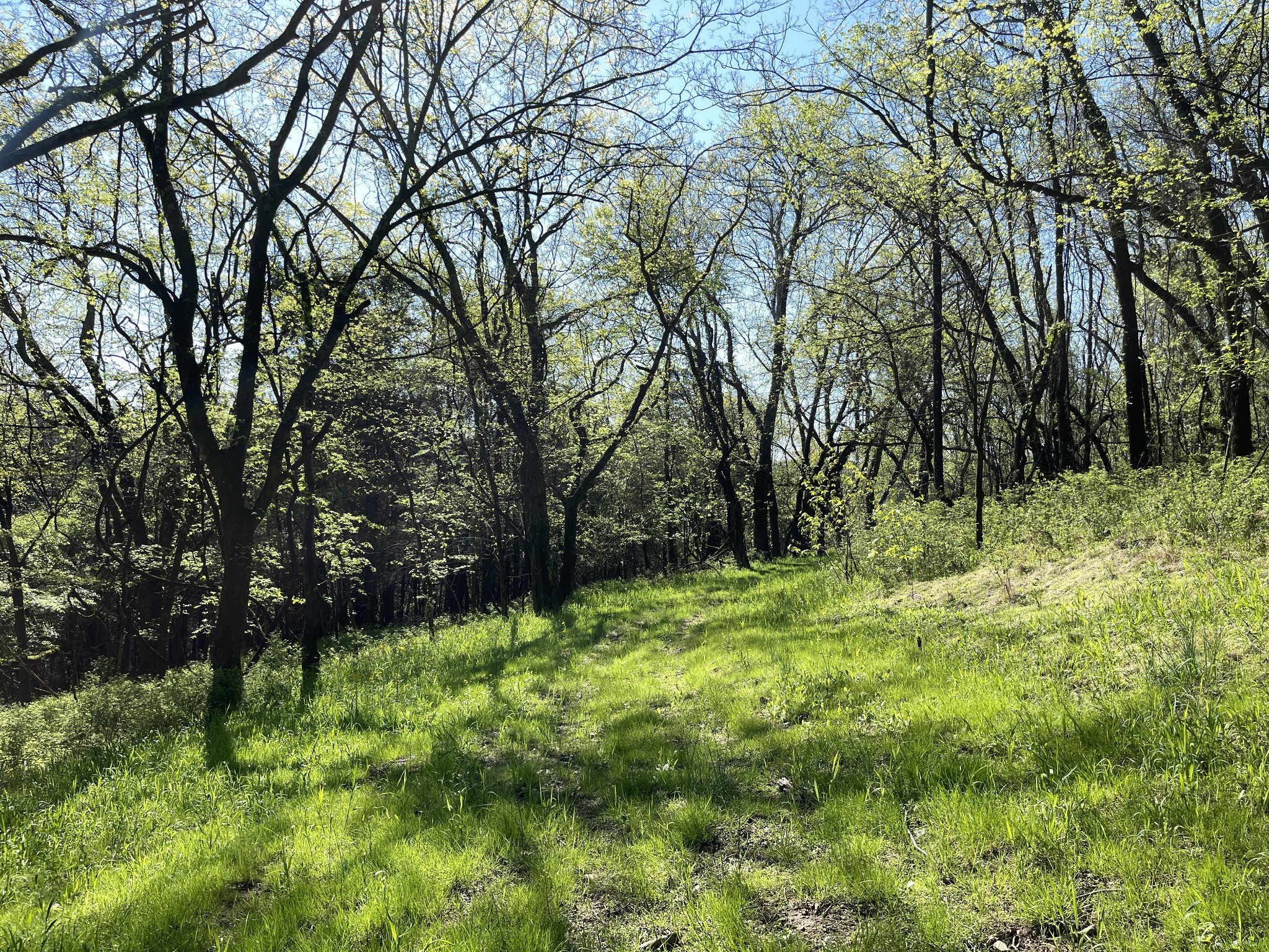 Photo 4 of 11 of 0 Columbia Highway land