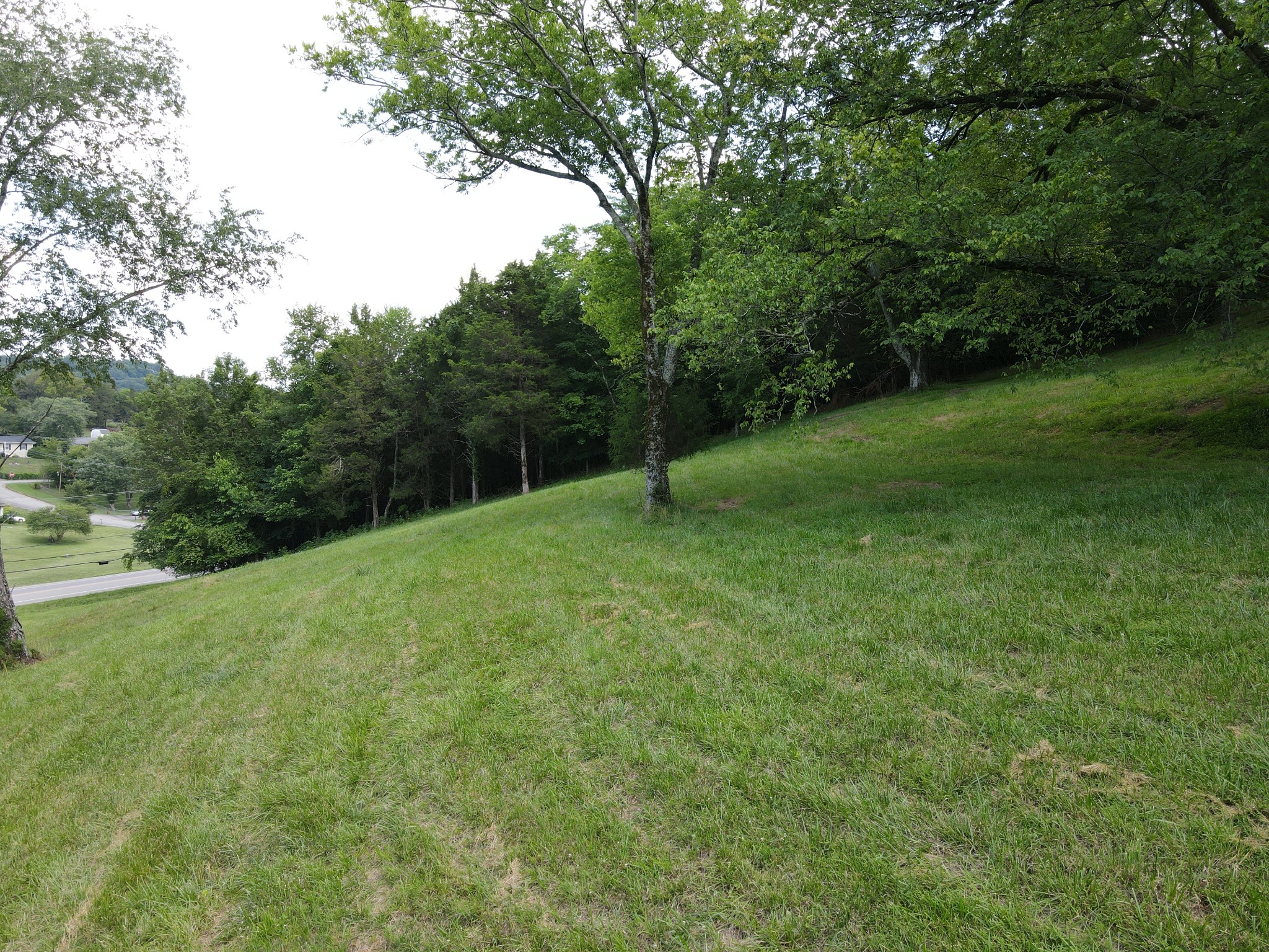Photo 8 of 11 of 0 Columbia Highway land
