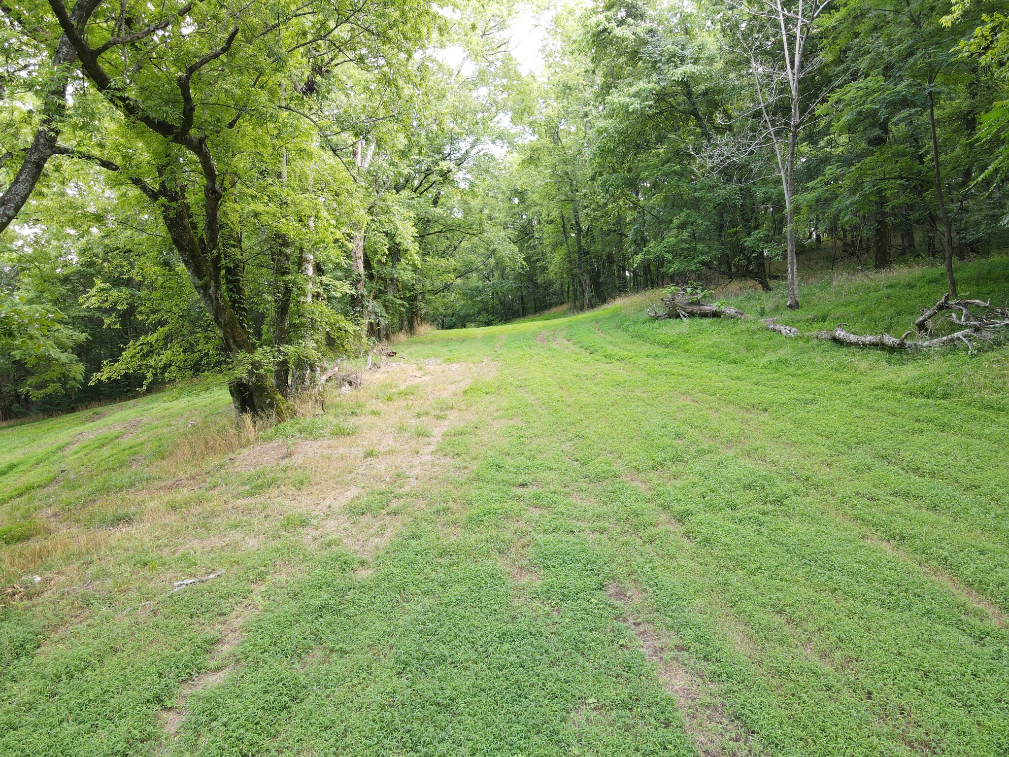 Photo 5 of 11 of 0 Columbia Highway land