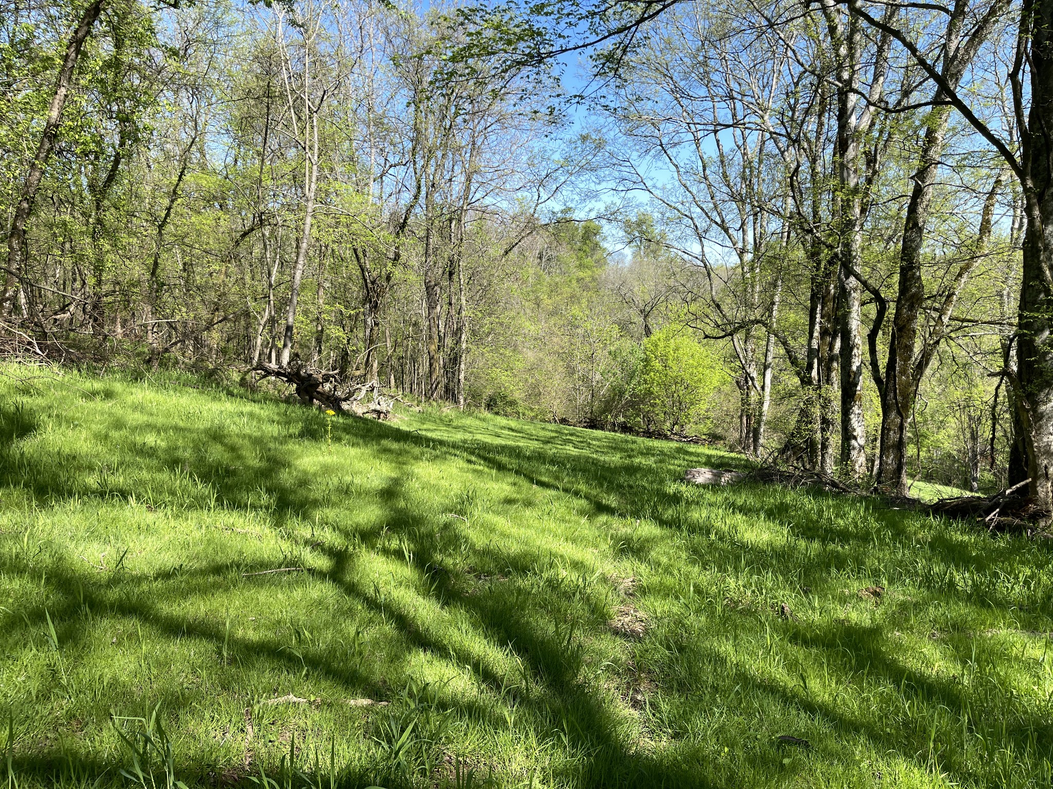Photo 2 of 11 of 0 Columbia Highway land