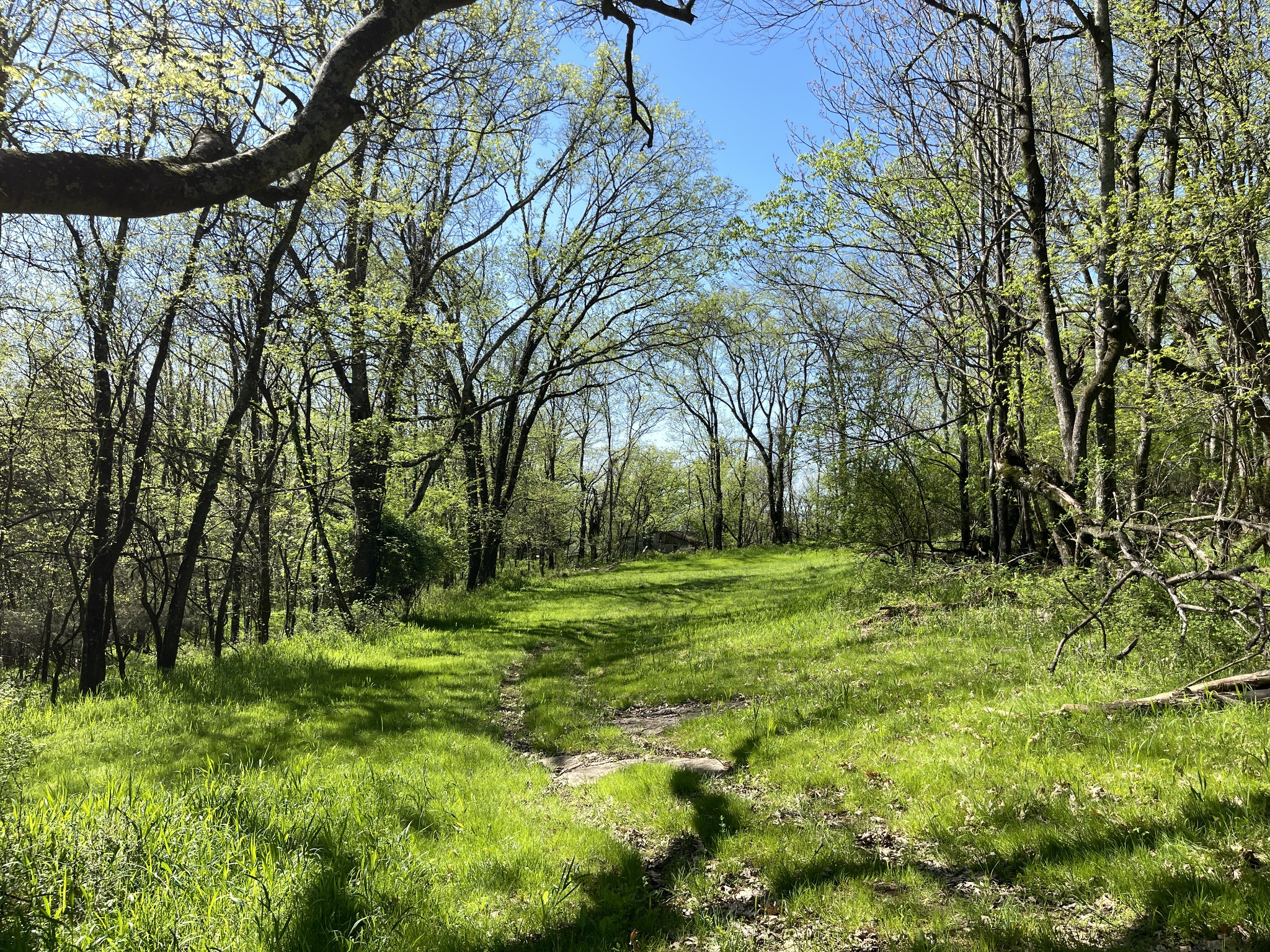 Photo 11 of 11 of 0 Columbia Highway land