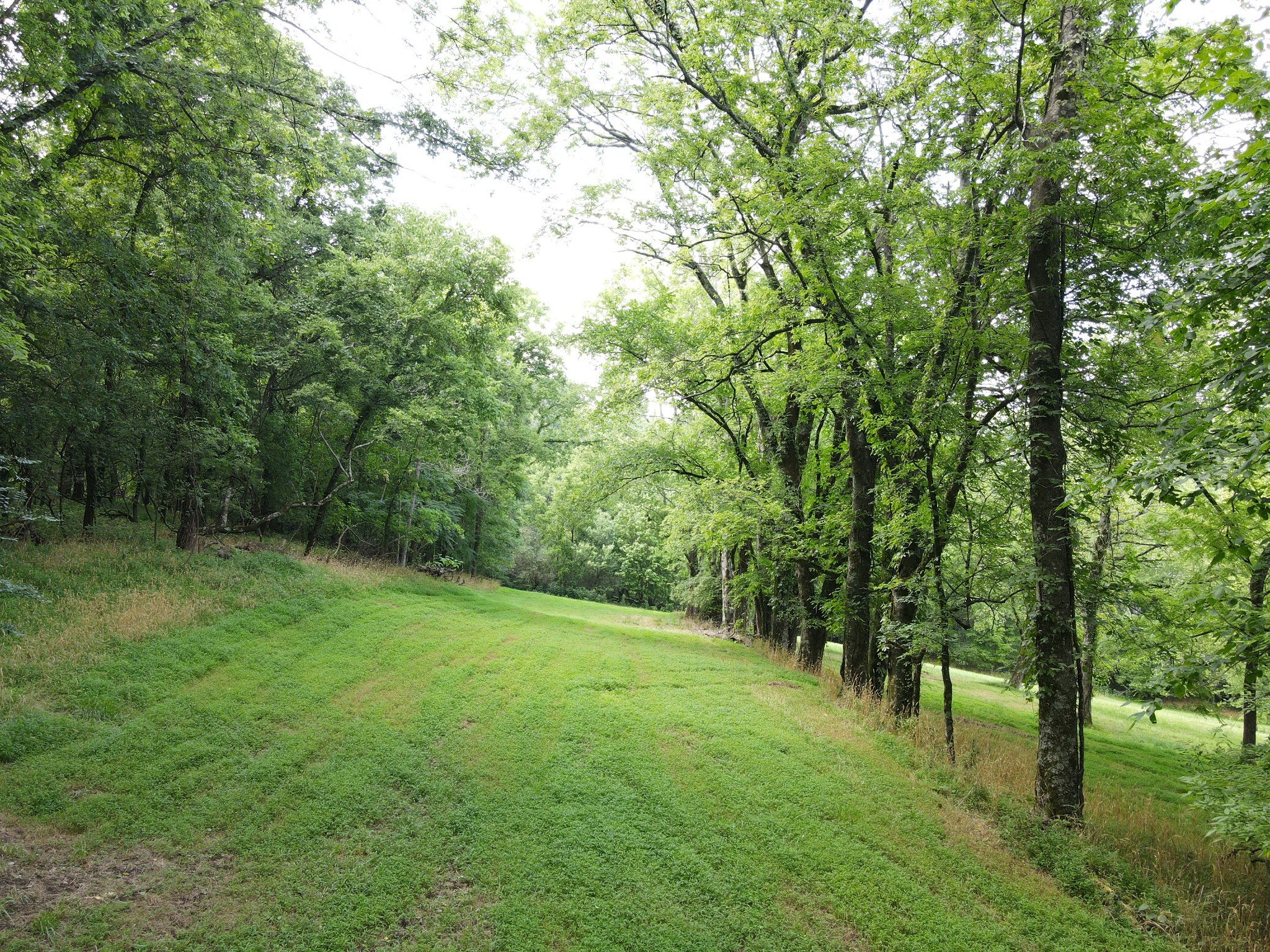 Photo 7 of 11 of 0 Columbia Highway land