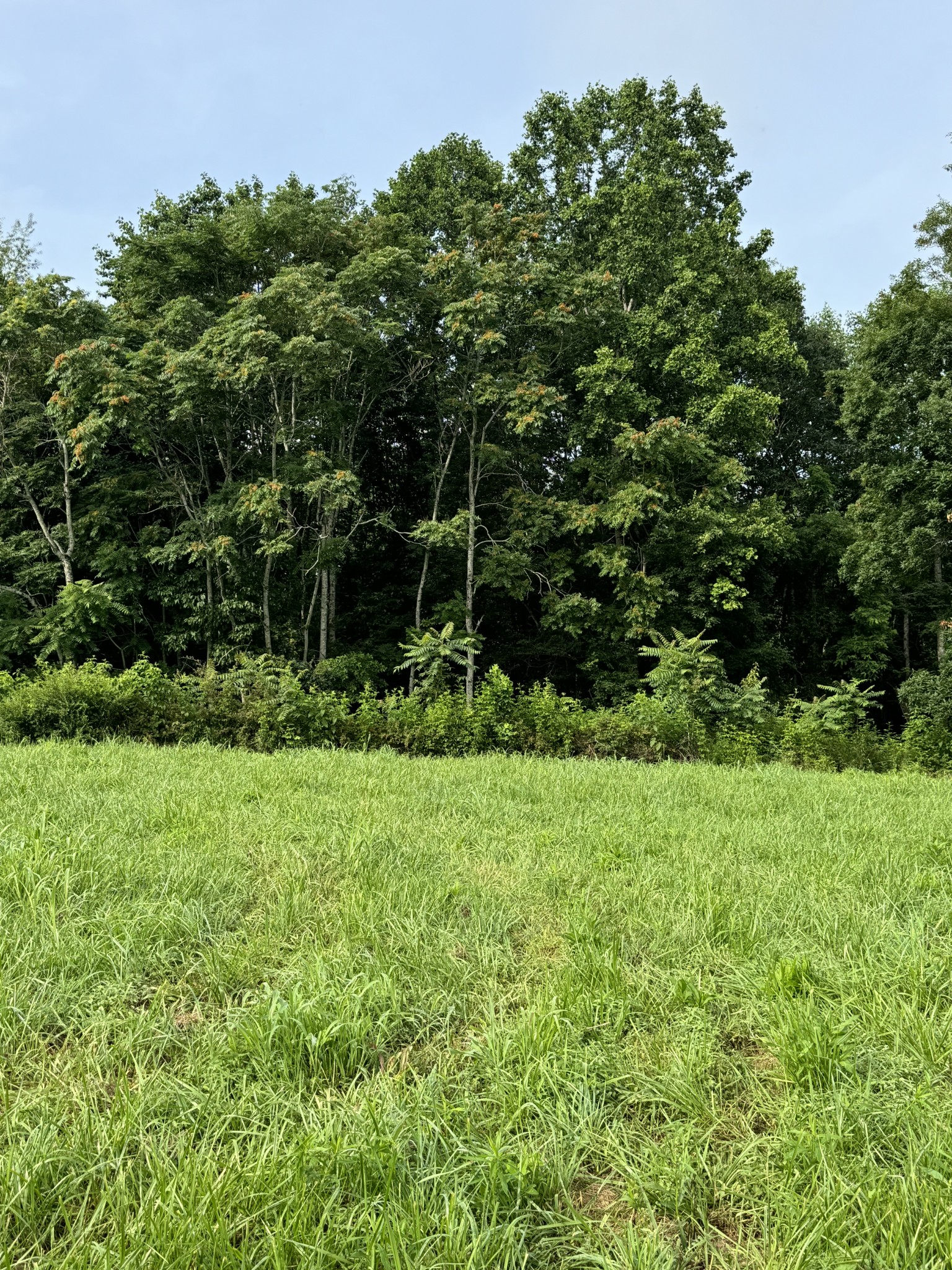 0 Oak Grove Rd