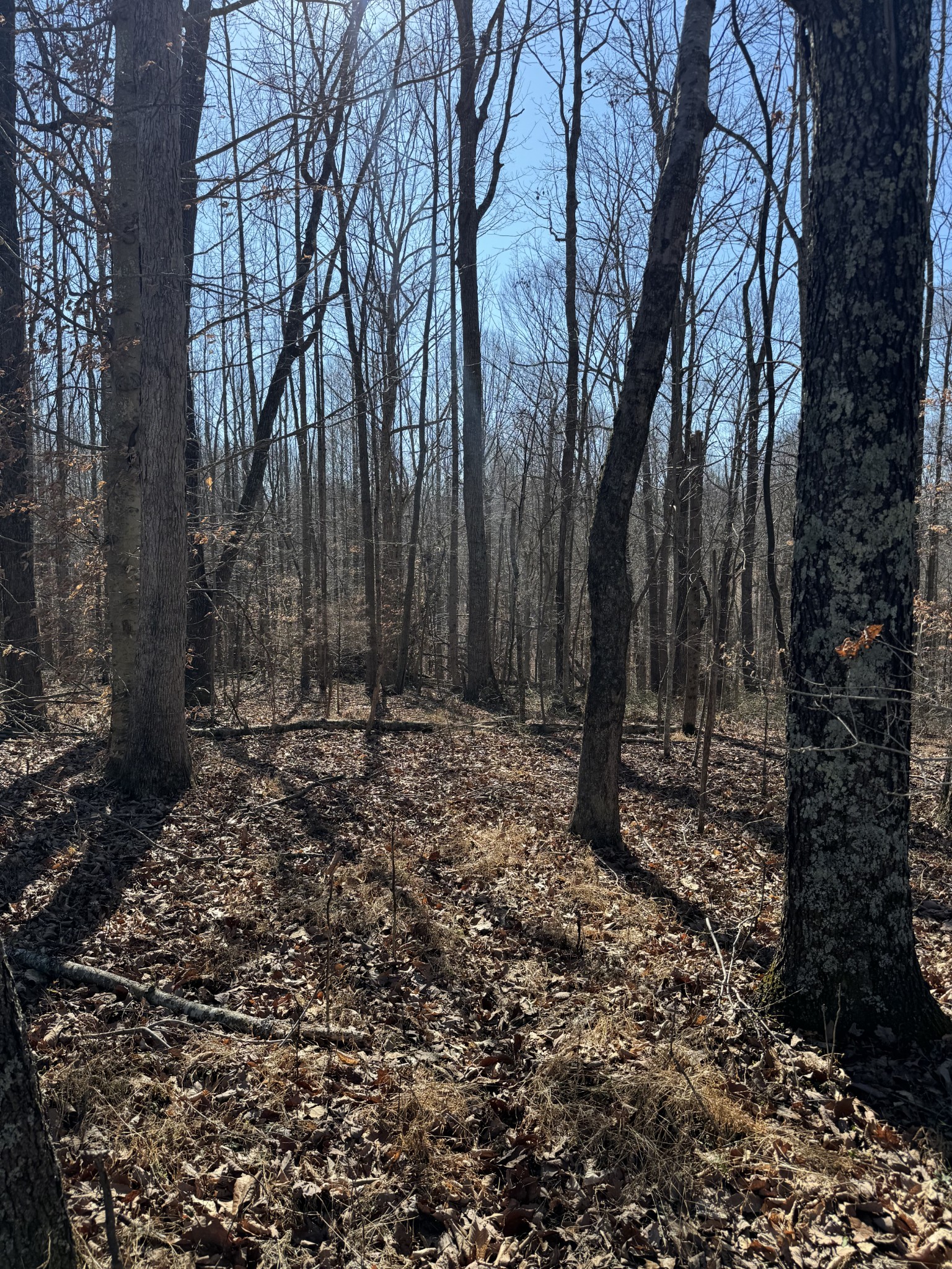 0 Oak Grove Rd
