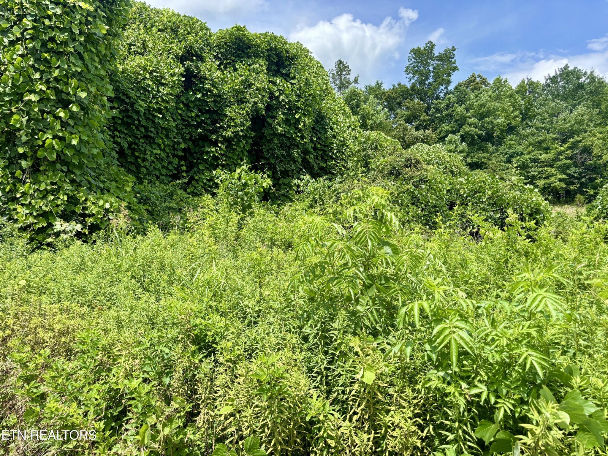 0 Davis Hollow Rd