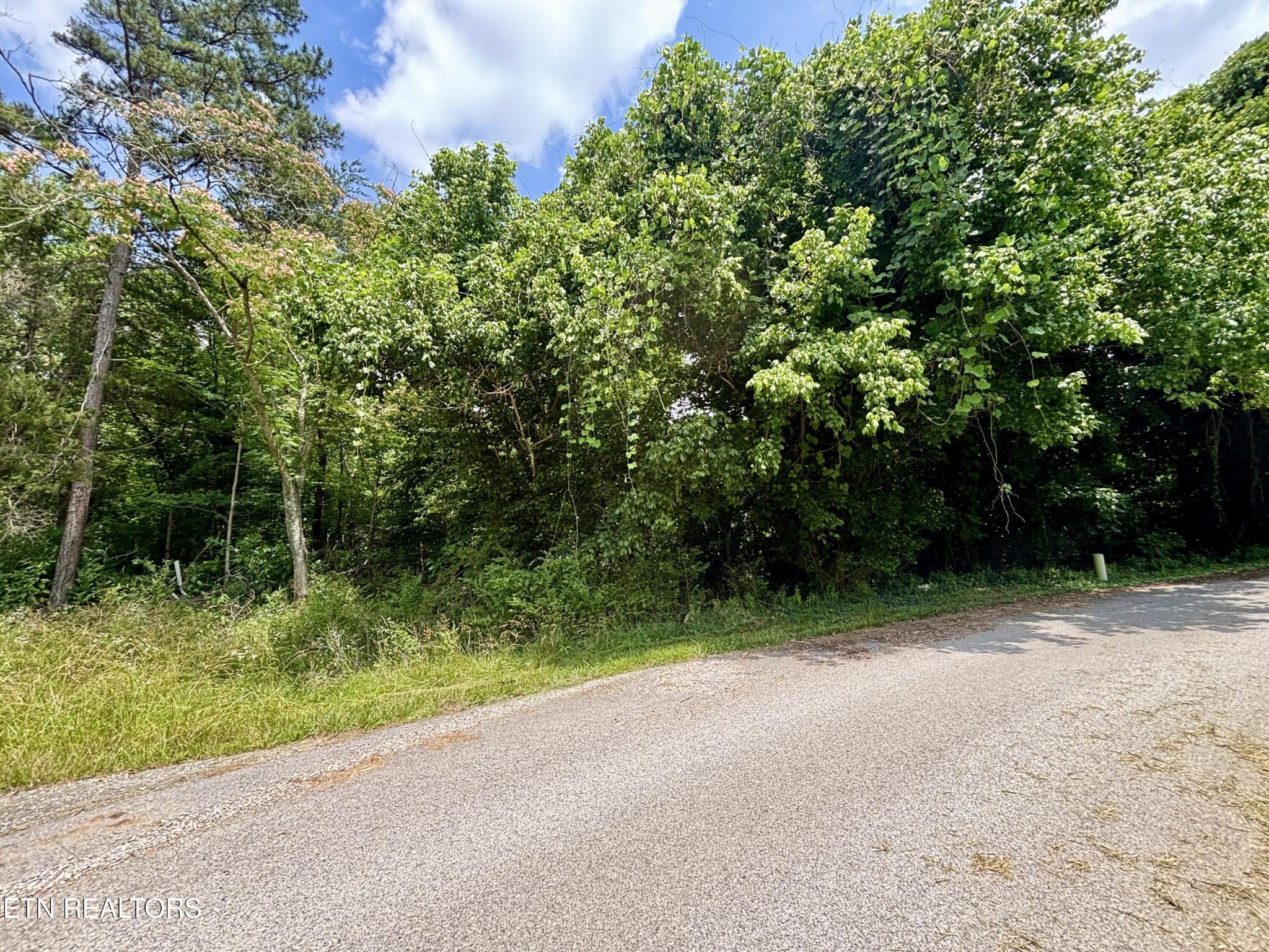 0 Davis Hollow Rd
