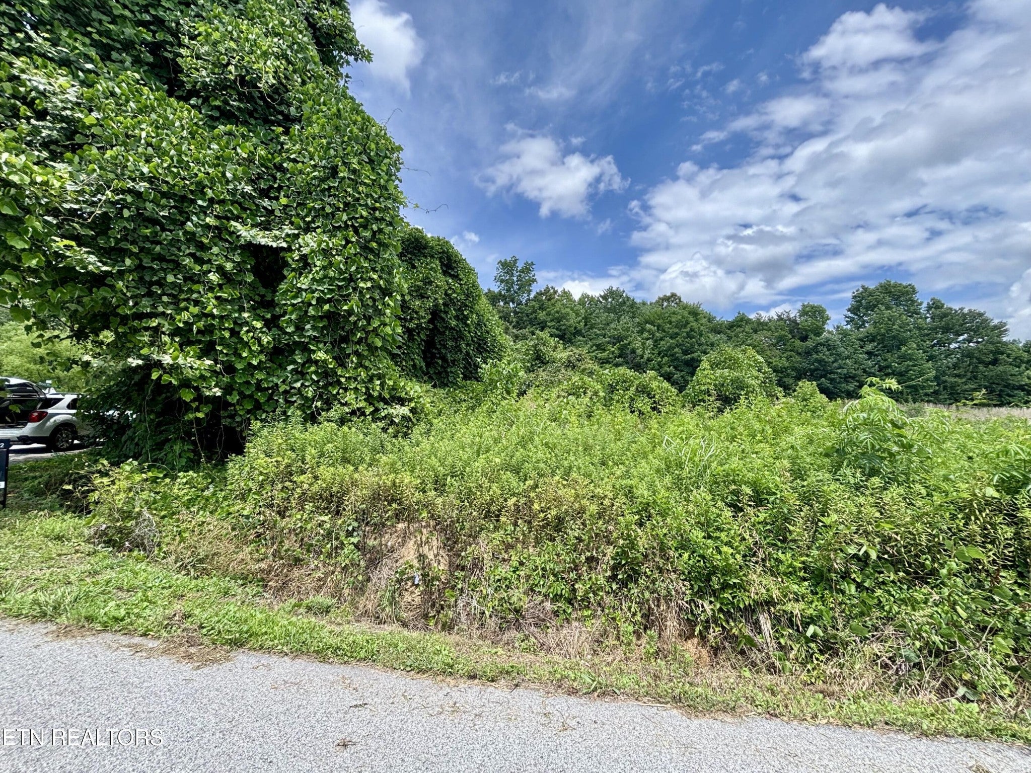 0 Davis Hollow Rd