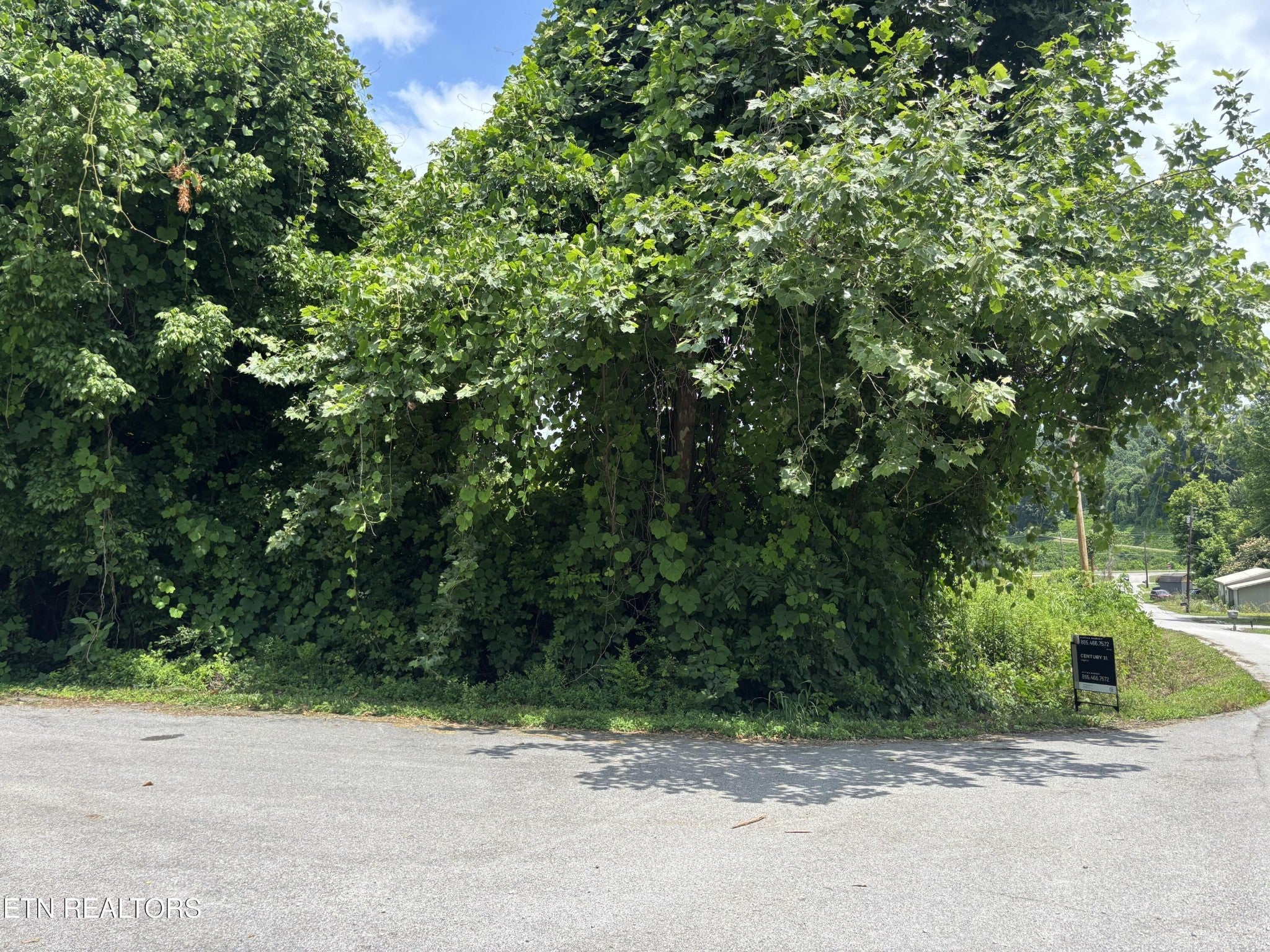 0 Davis Hollow Rd