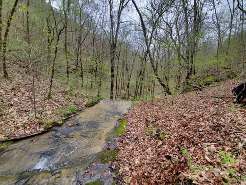 Photo of 6004 Old Hohenwald Rd, Linden, TN 37096 (MLS # 2986754)