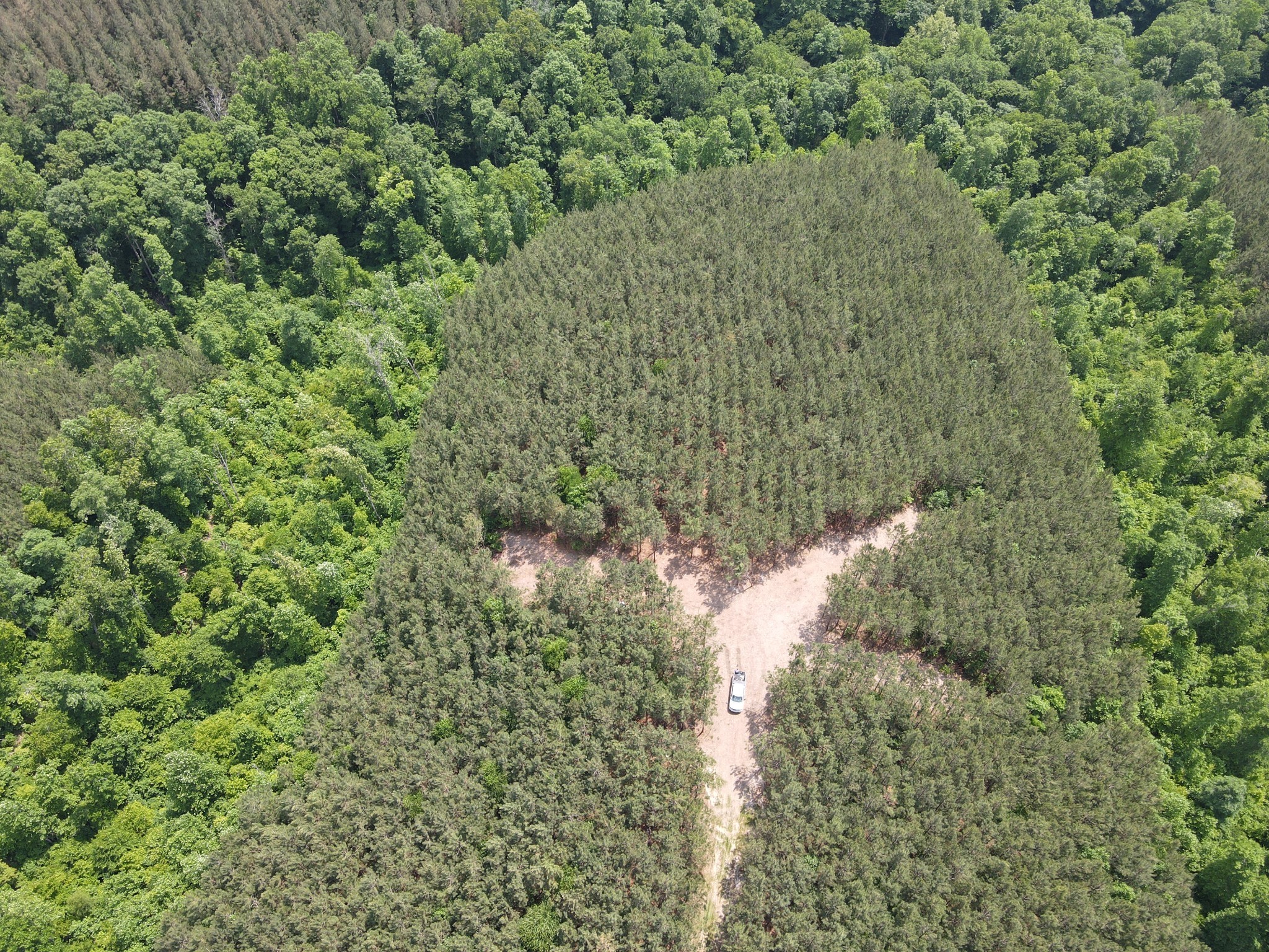 6004 Old Hohenwald Rd