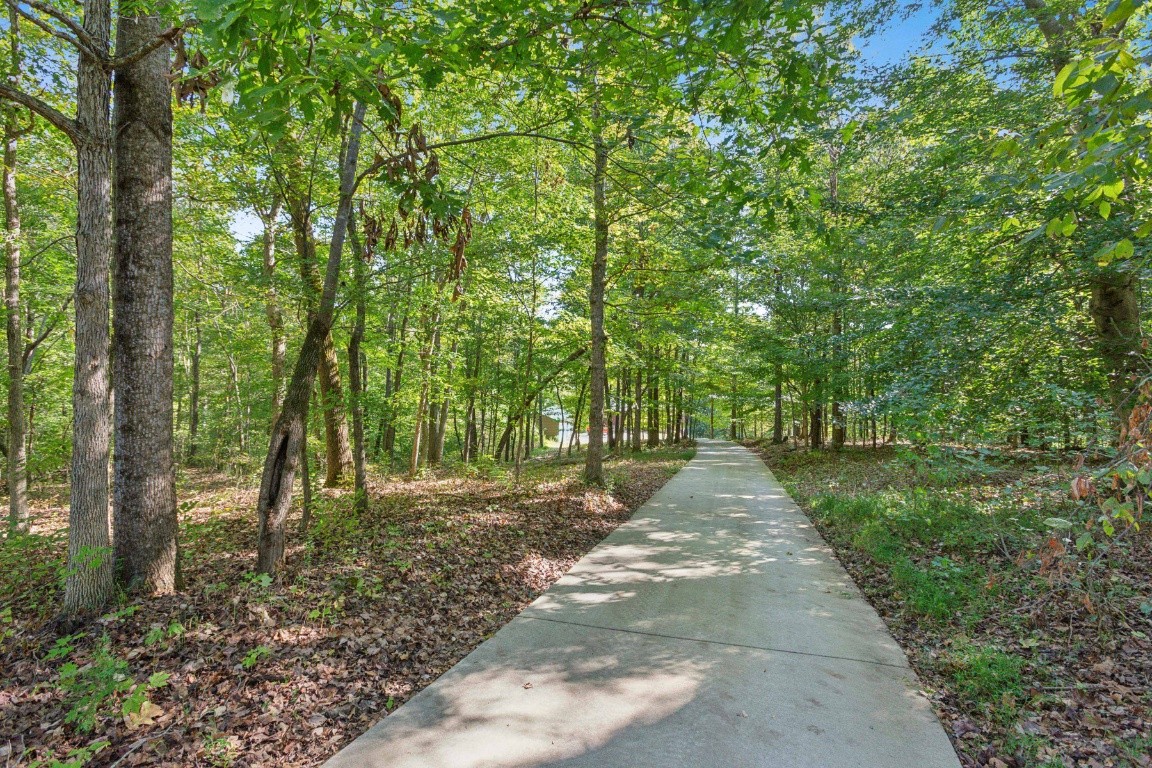 4455 Tarsus Rd