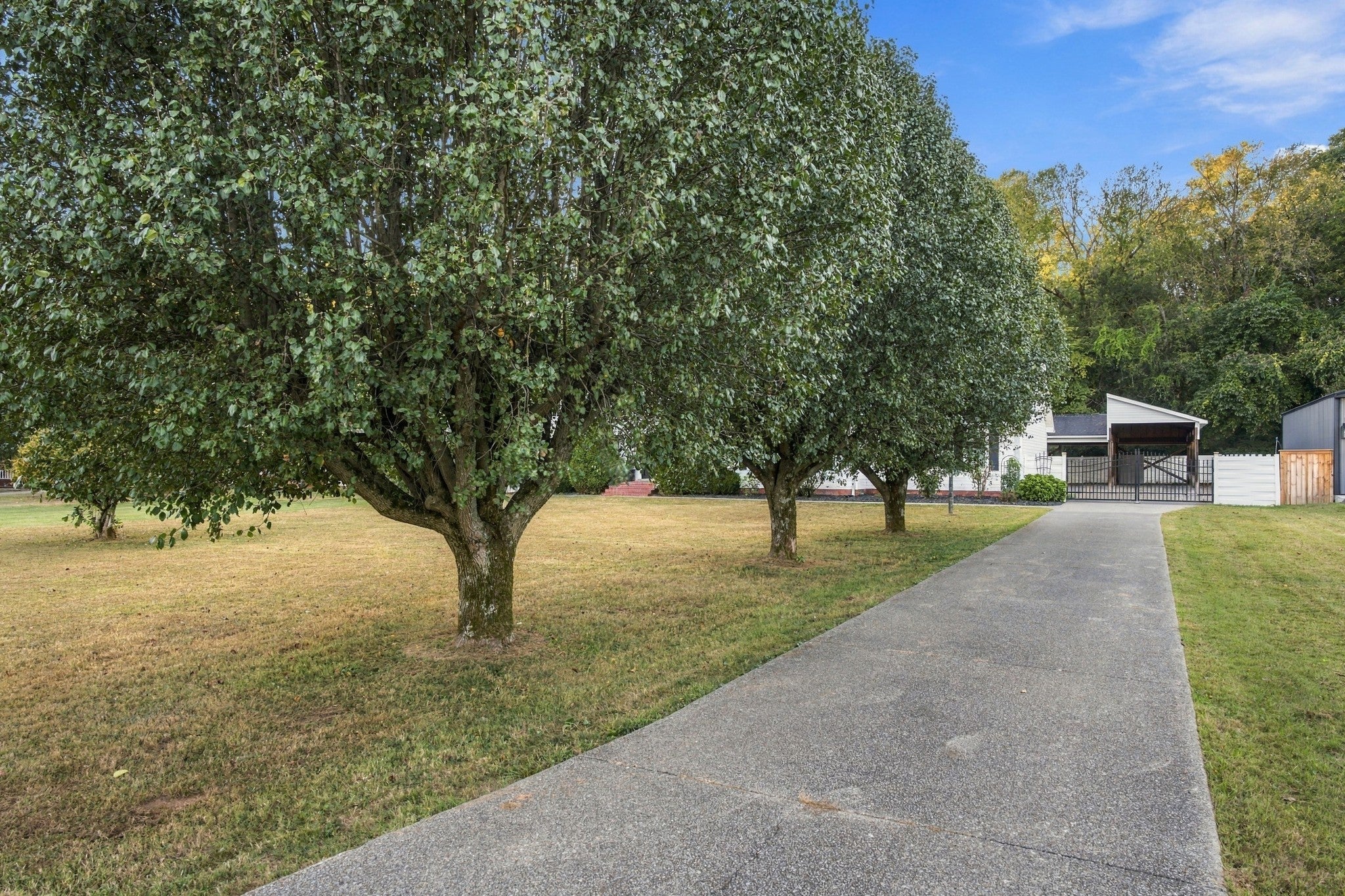 1111 Rutledge Dr