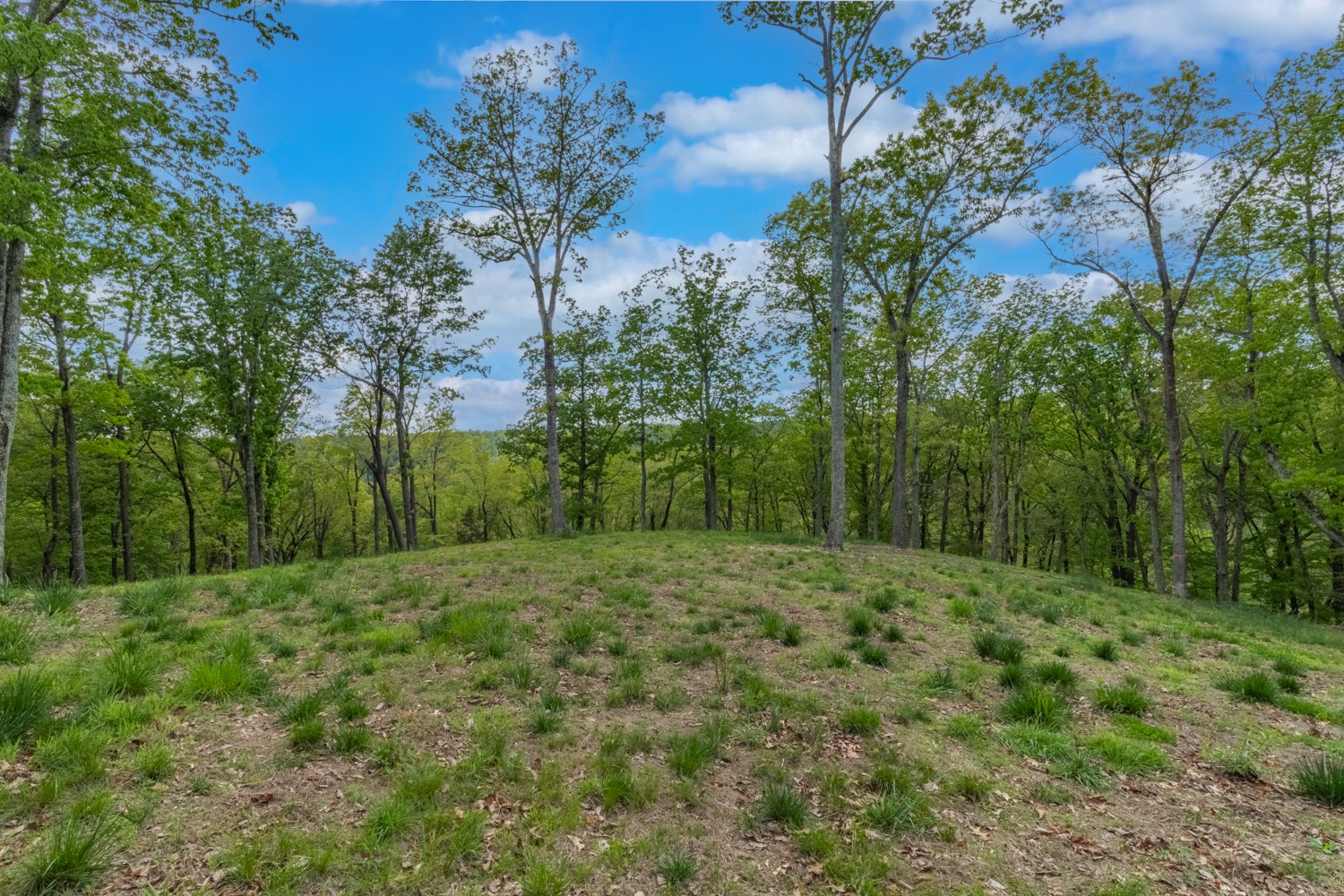 4648 Love Branch Rd