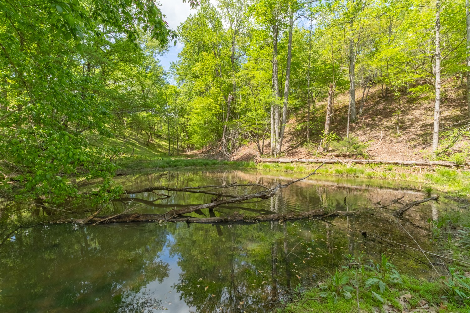 4648 Love Branch Rd