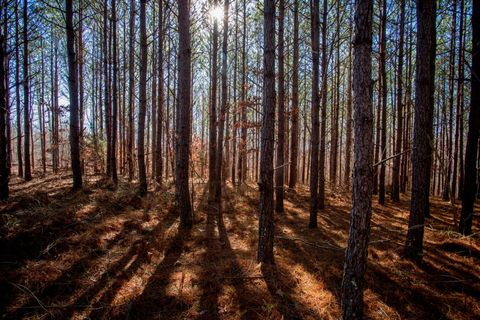 0 Mayfield Divide Rd Centerville TN 37033
