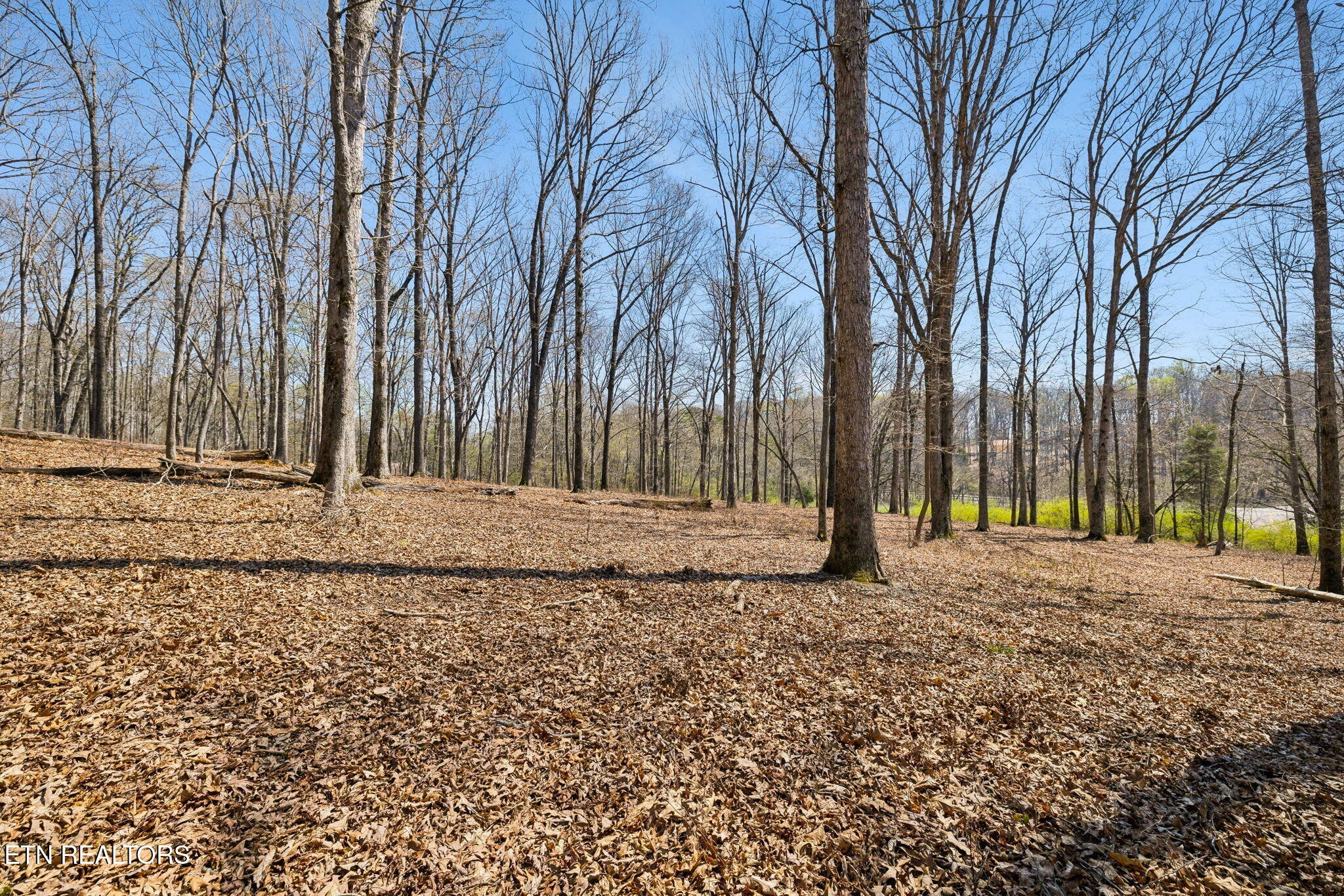 1300 Old Sugar Limb Rd Rd