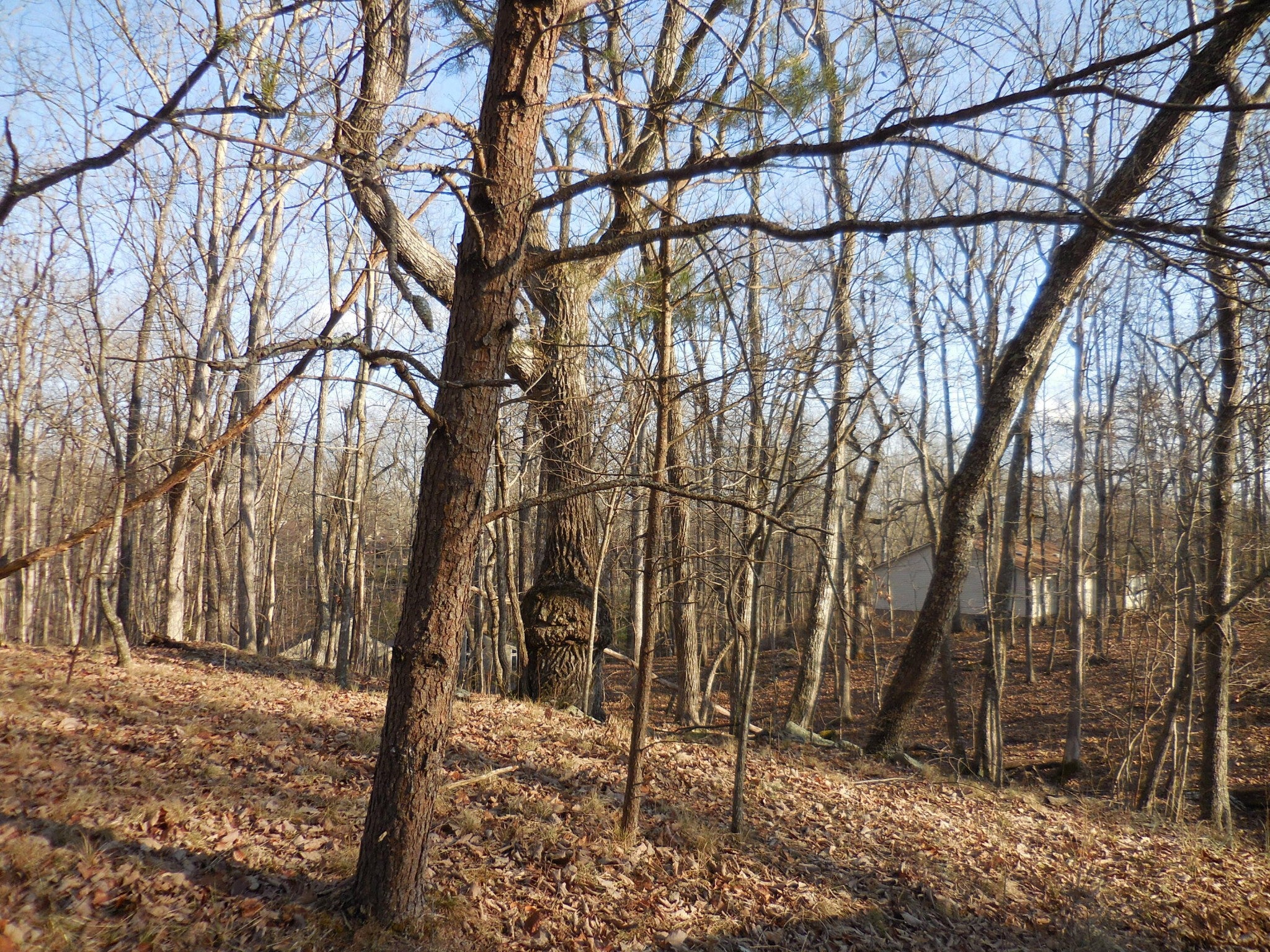 133 Greenbrier Loop