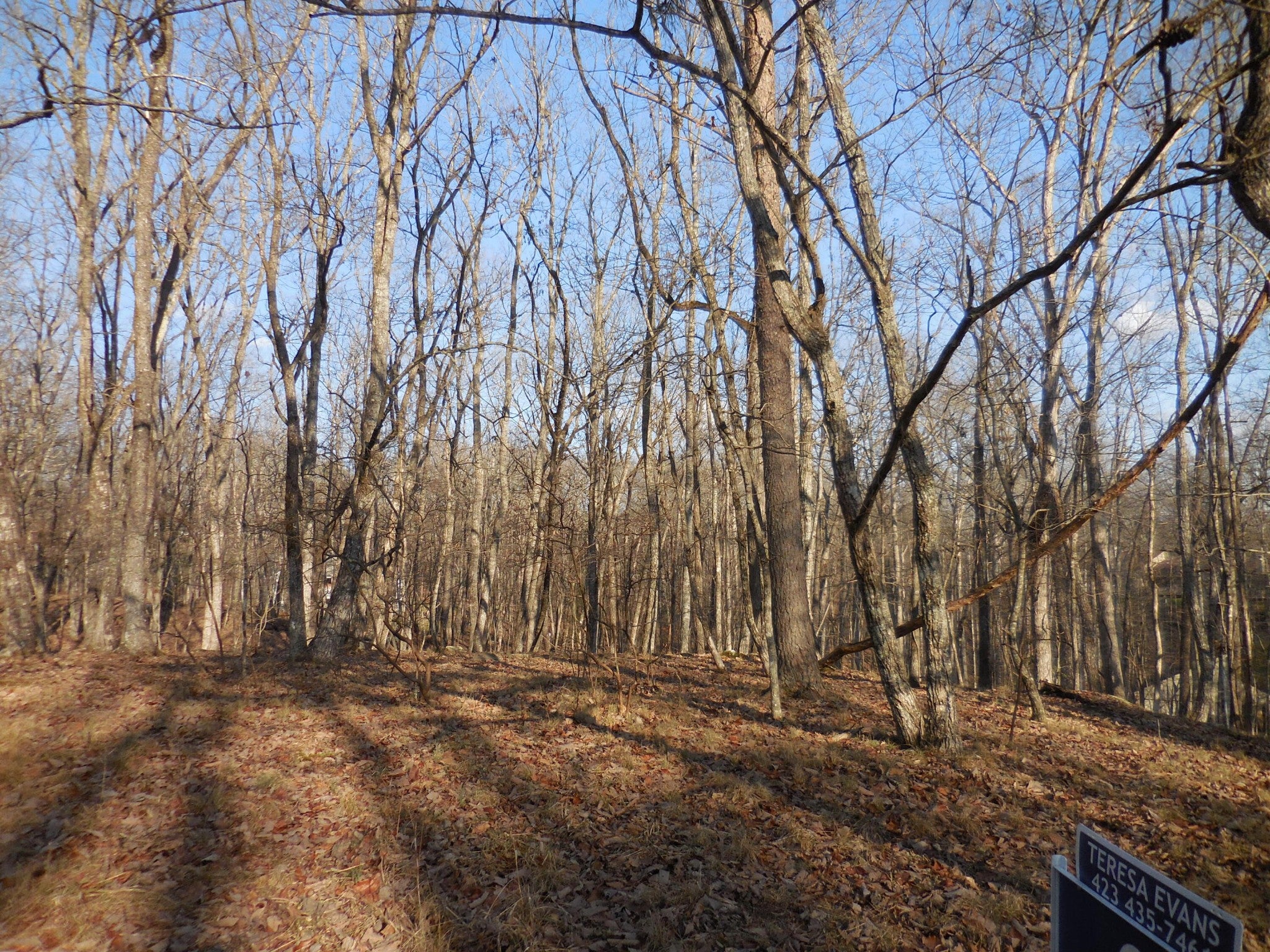 133 Greenbrier Loop