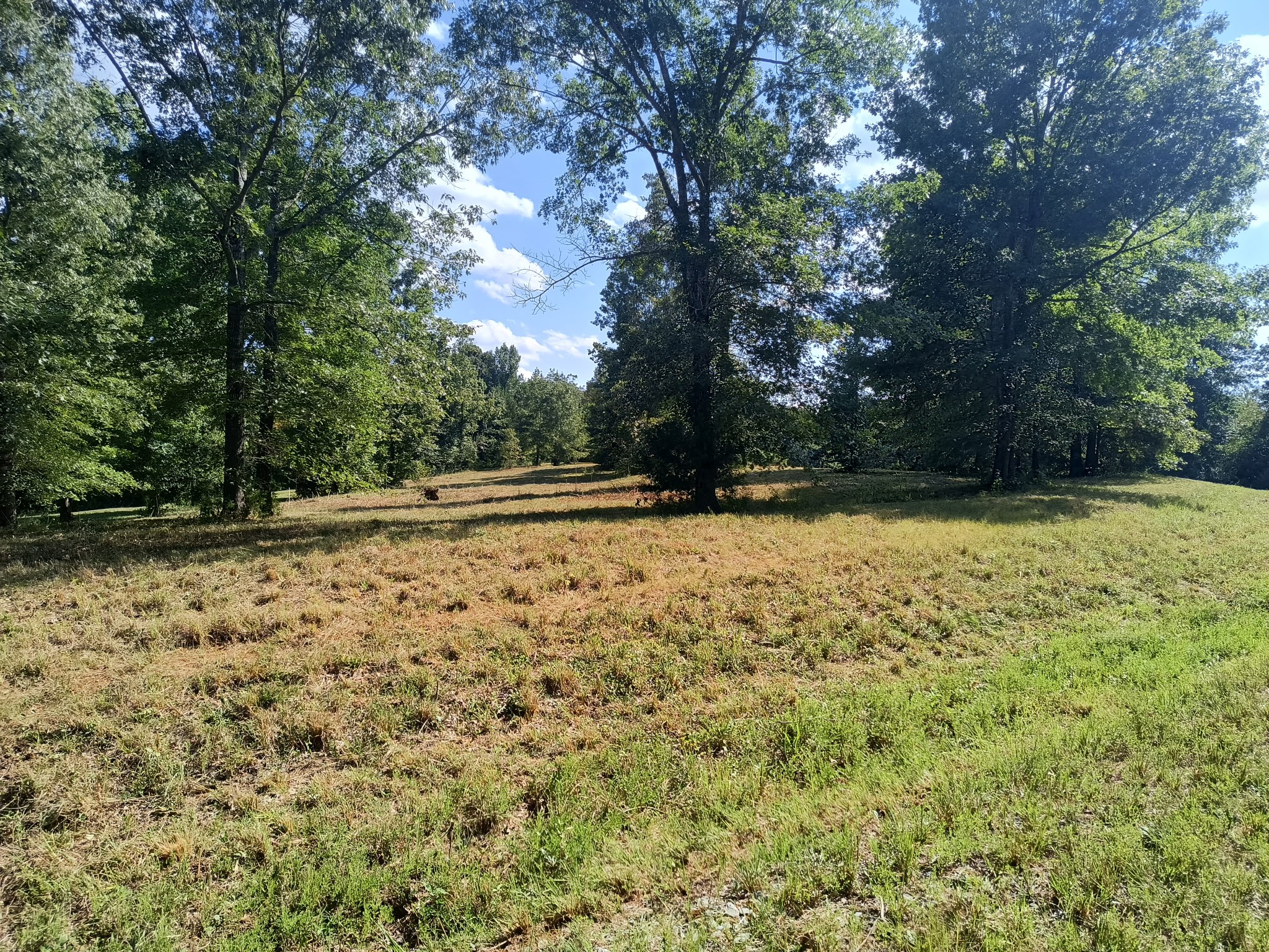 0 Hwy 41A N