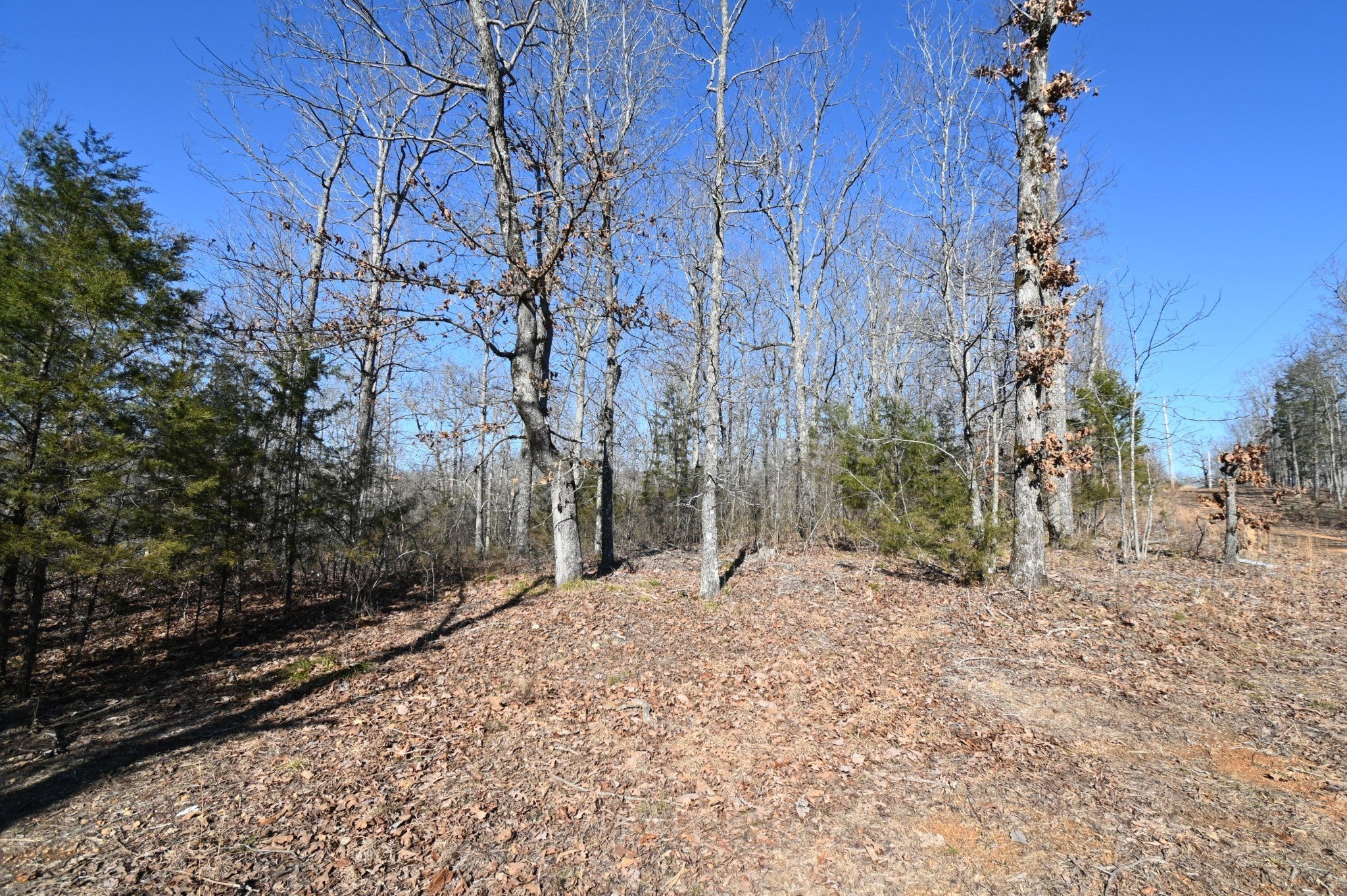 130 Wyatt Lane