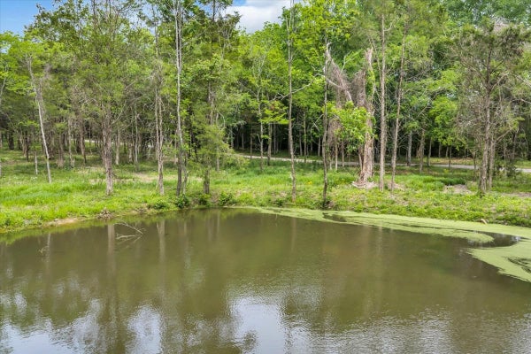 2827 UNIONVILLE RD, CHAPEL HILL, TN 37034 - Image 208eedd7a911e1eb8c8ecae608c8254c/3907646320