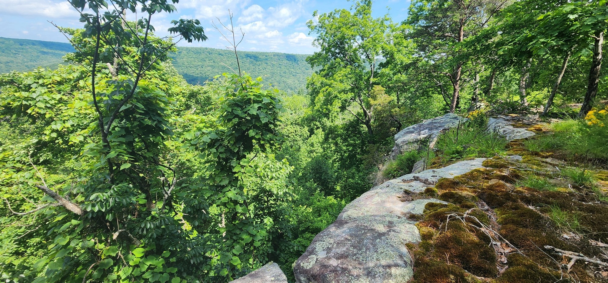 0 Roth Point Road