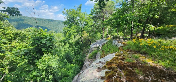 ROTH POINT RD, ALTAMONT, TN 37301 - Image 208f57dc33e9d3a4ba5fbc59c81c1952/3421097314
