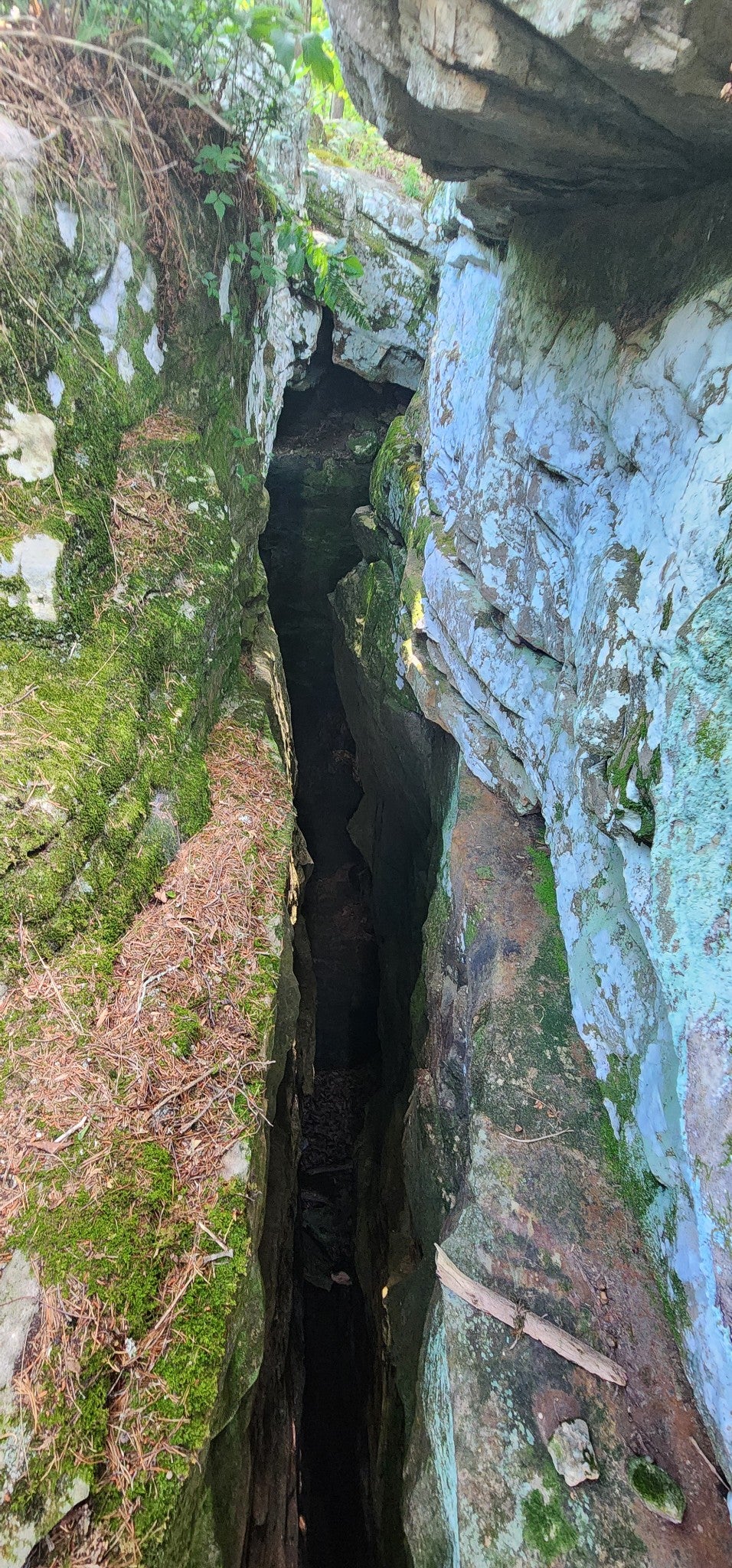 0 Roth Point Road
