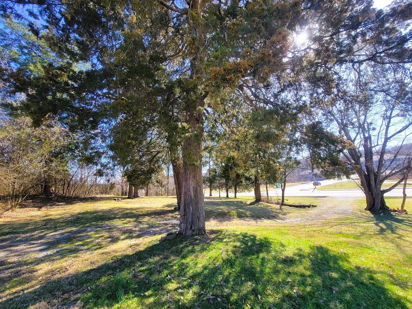 434 Nonaville Rd