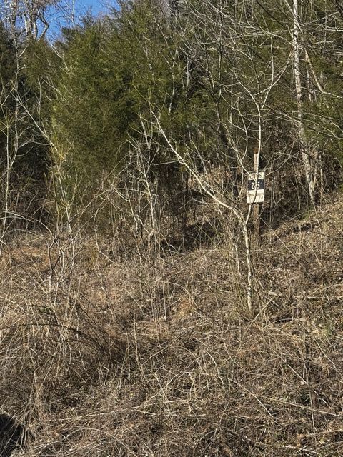 92 Shoreside Dr Smithville TN 37166