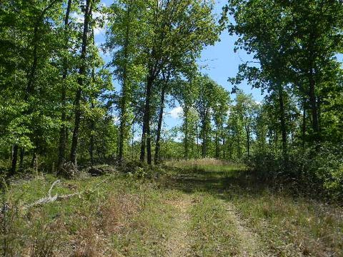 0 Ogden Road Waverly TN 37185