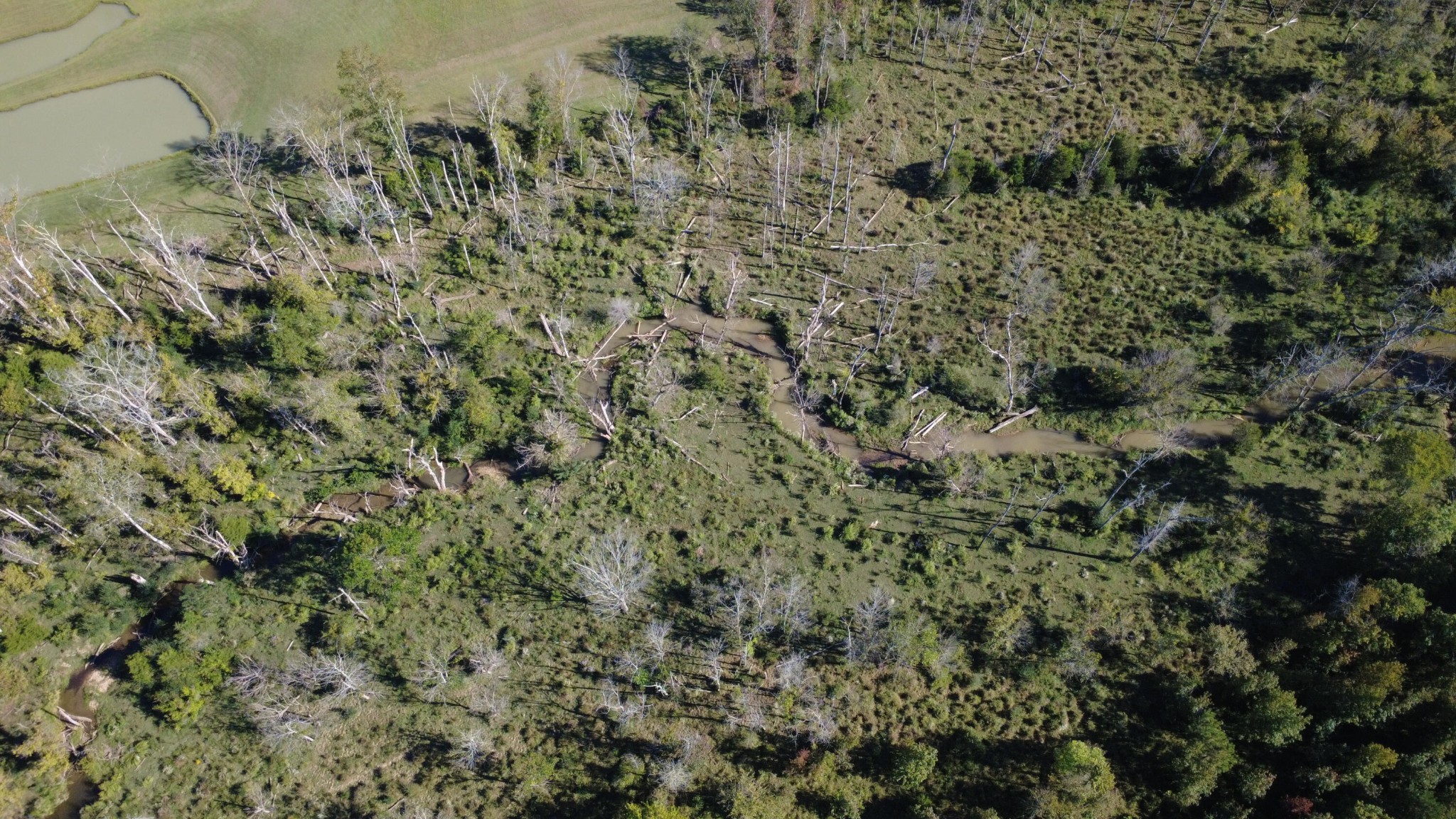 0 No Pone Valley Road