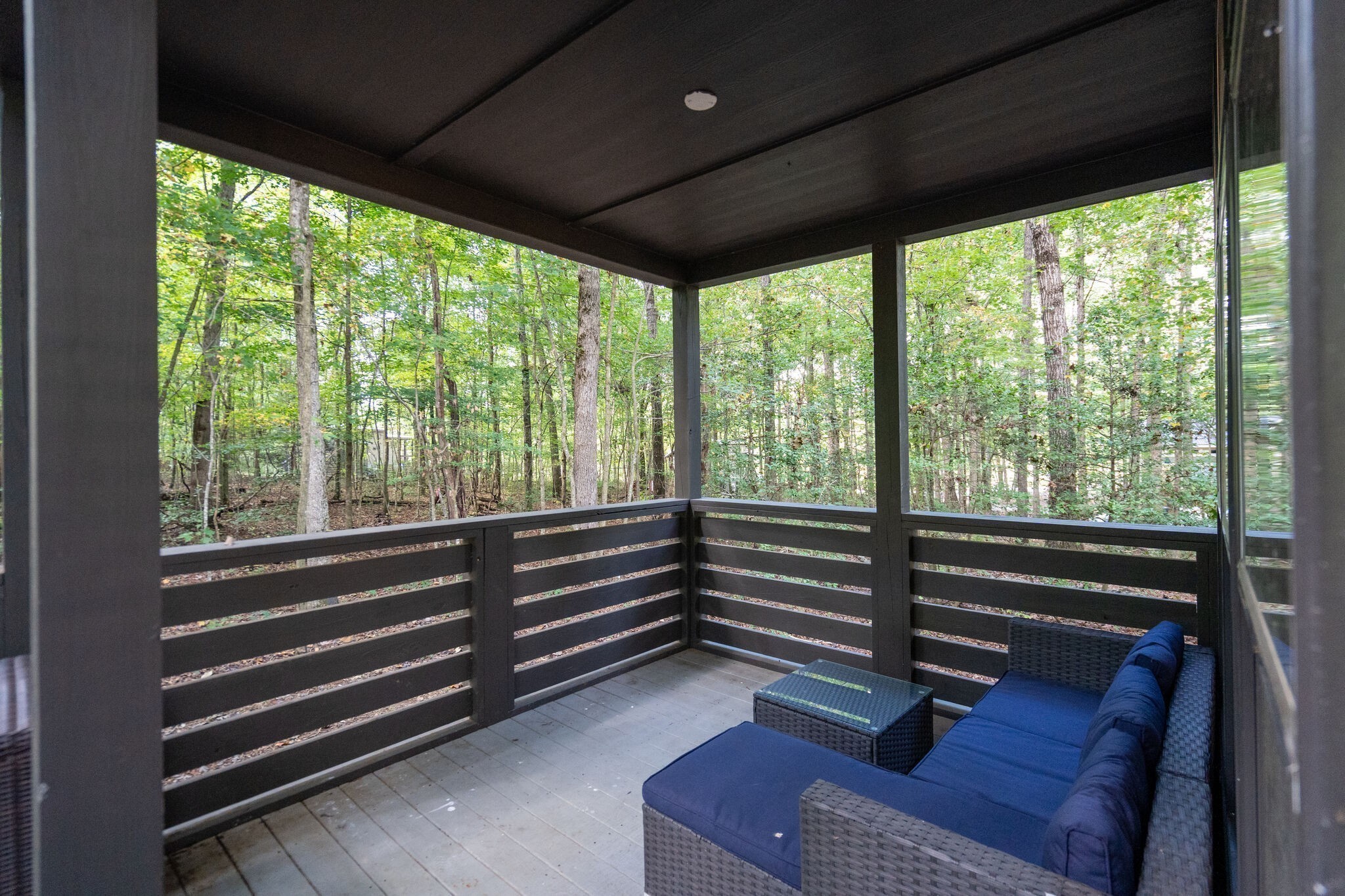 75A Deer Lick Trail