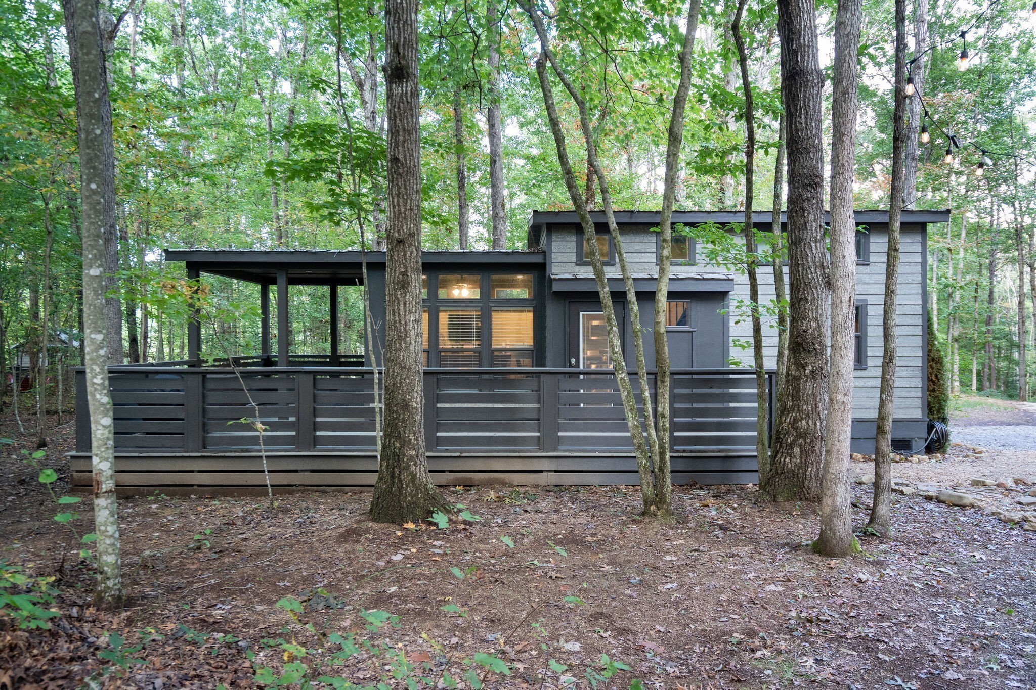 75A Deer Lick Trail