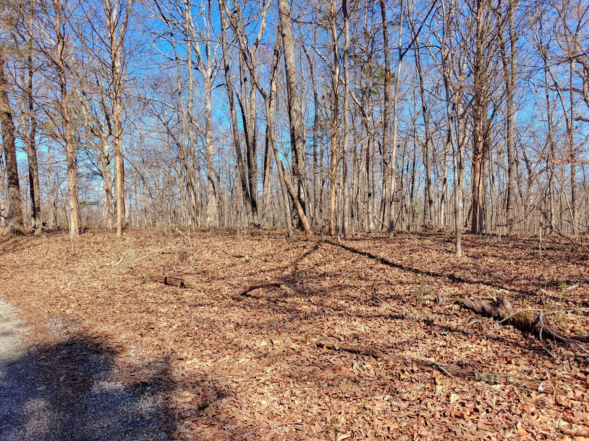 0 Sykes Branch Rd