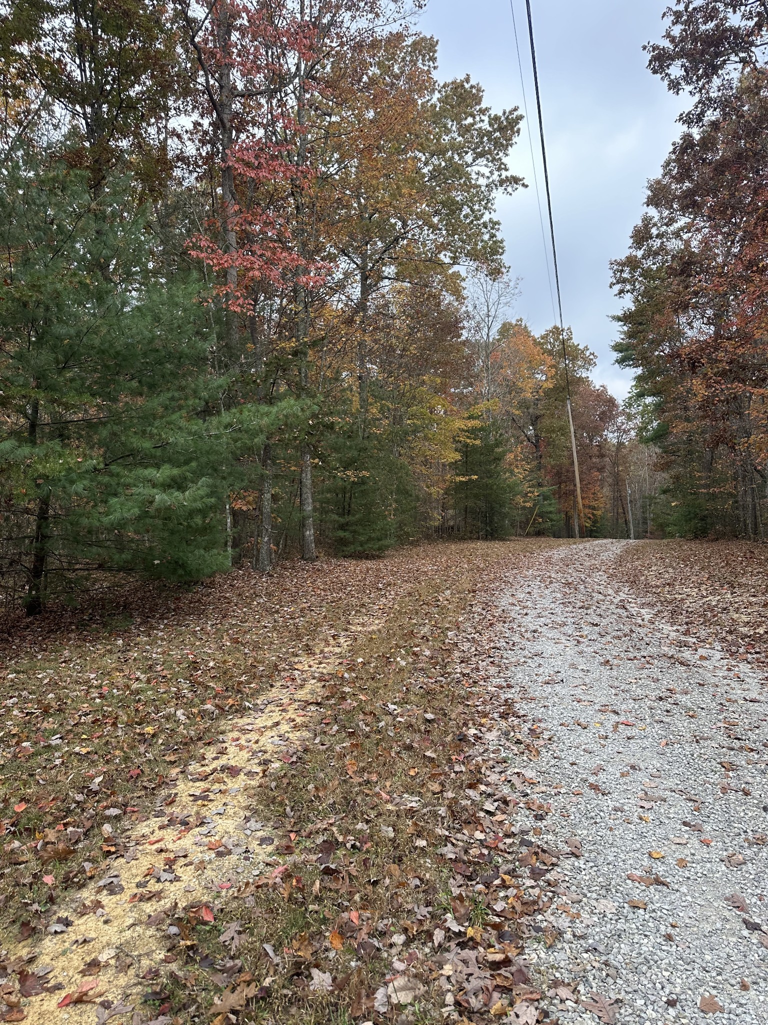 0 Wilderness Trail