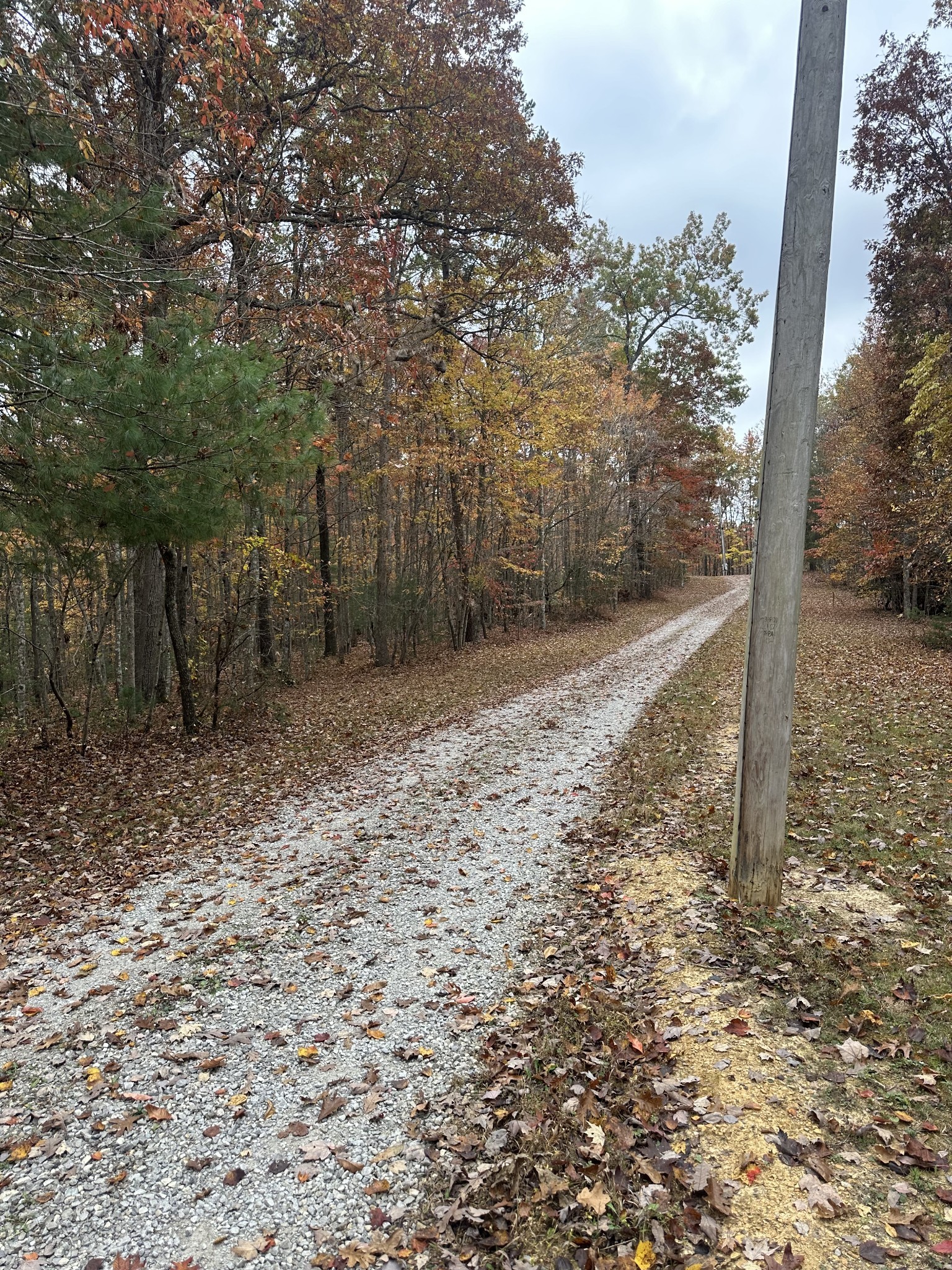 0 Wilderness Trail