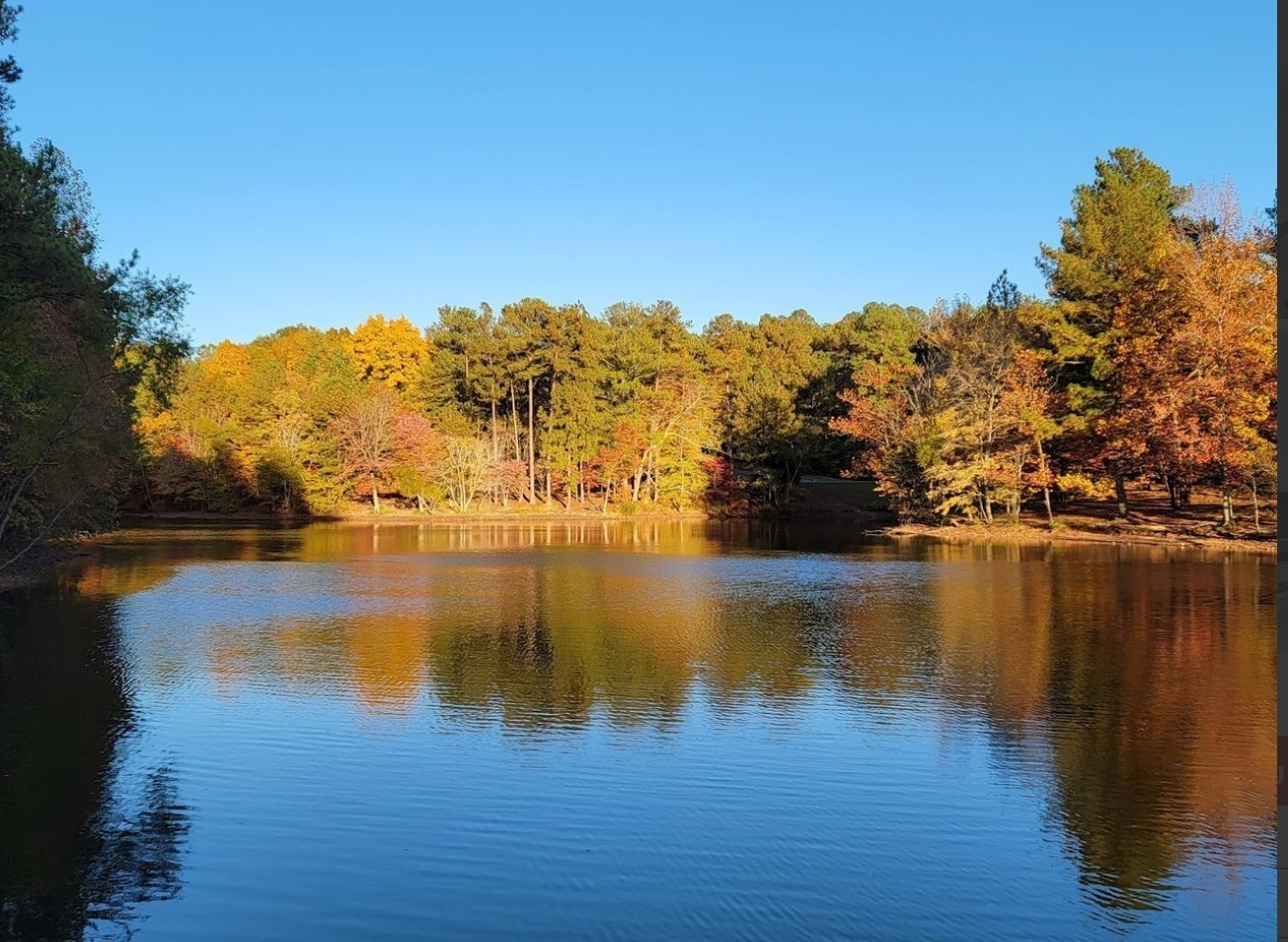 7315 Dutch River Cir