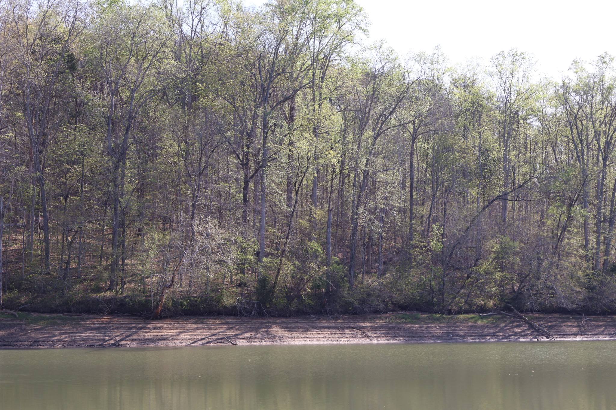 0 Simmons Cemetary Rd