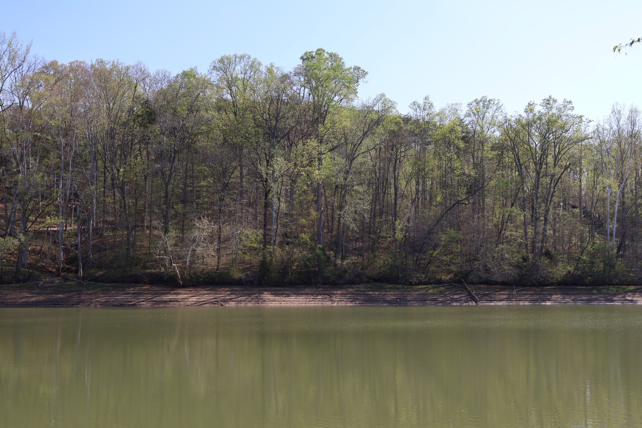 0 Simmons Cemetary Rd