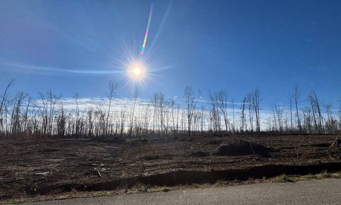 0 Brinkley Rd Wartrace TN 37183