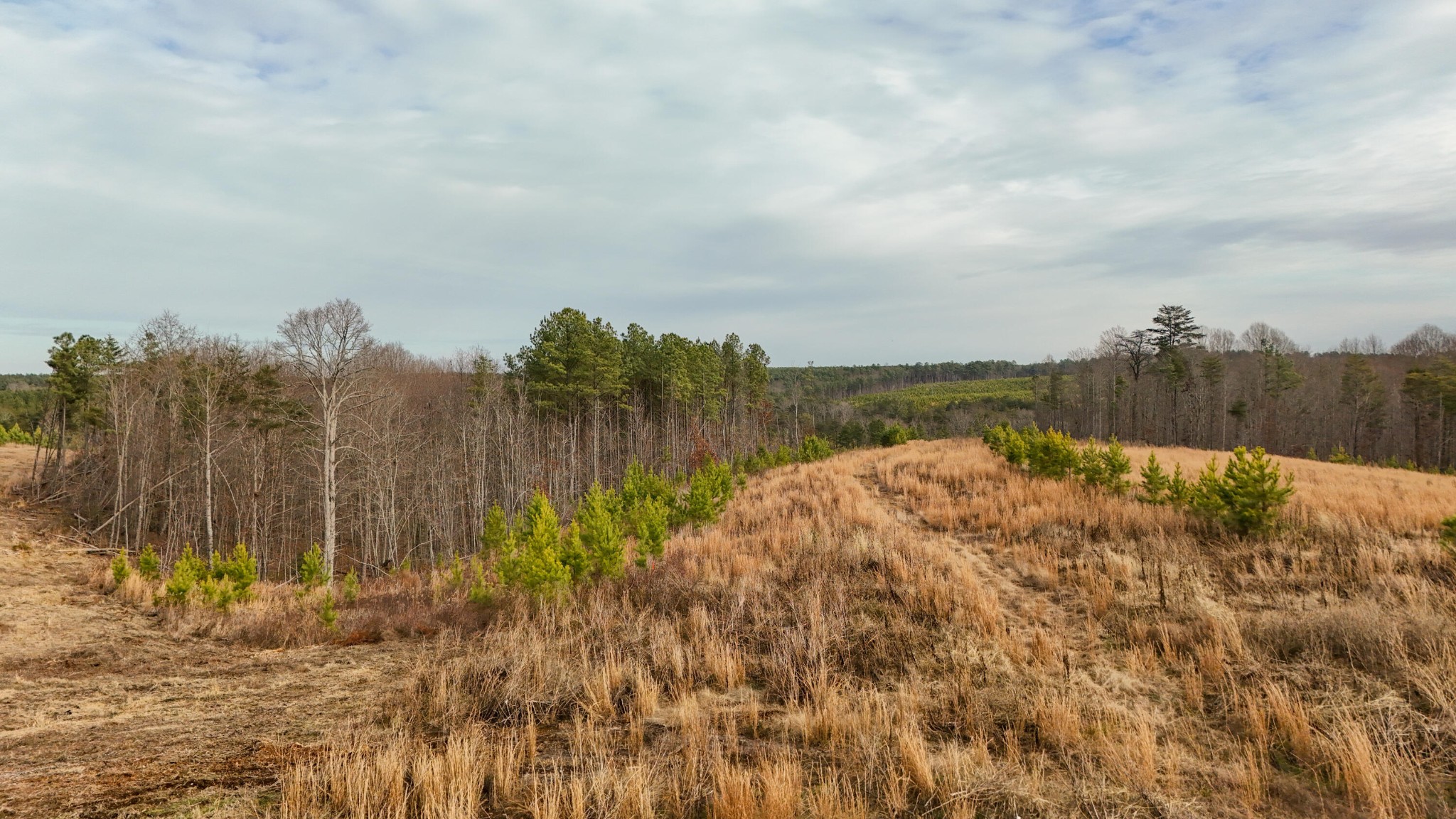 0 State Rt 399 Lot 13