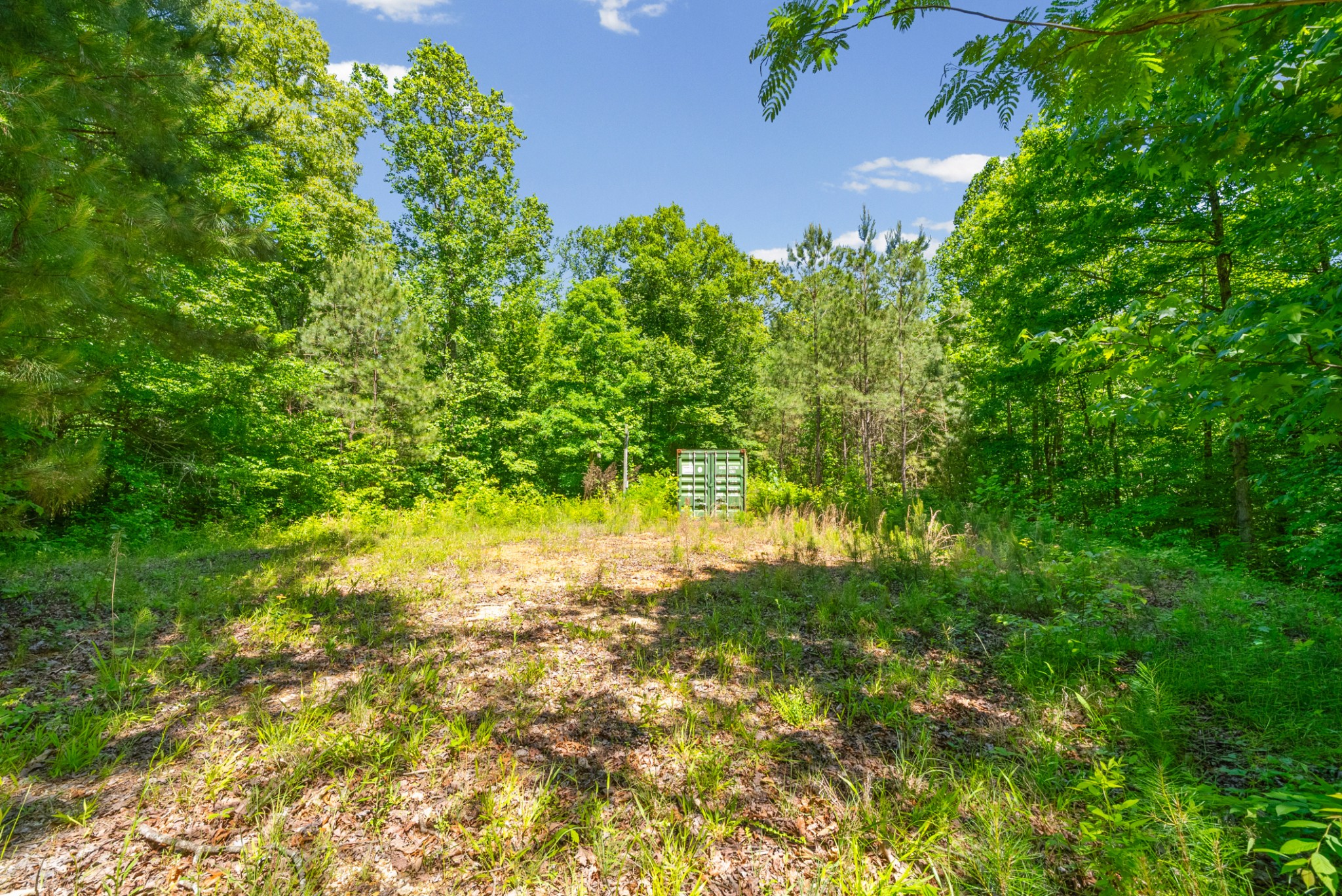 1530 Spring Hill Rd