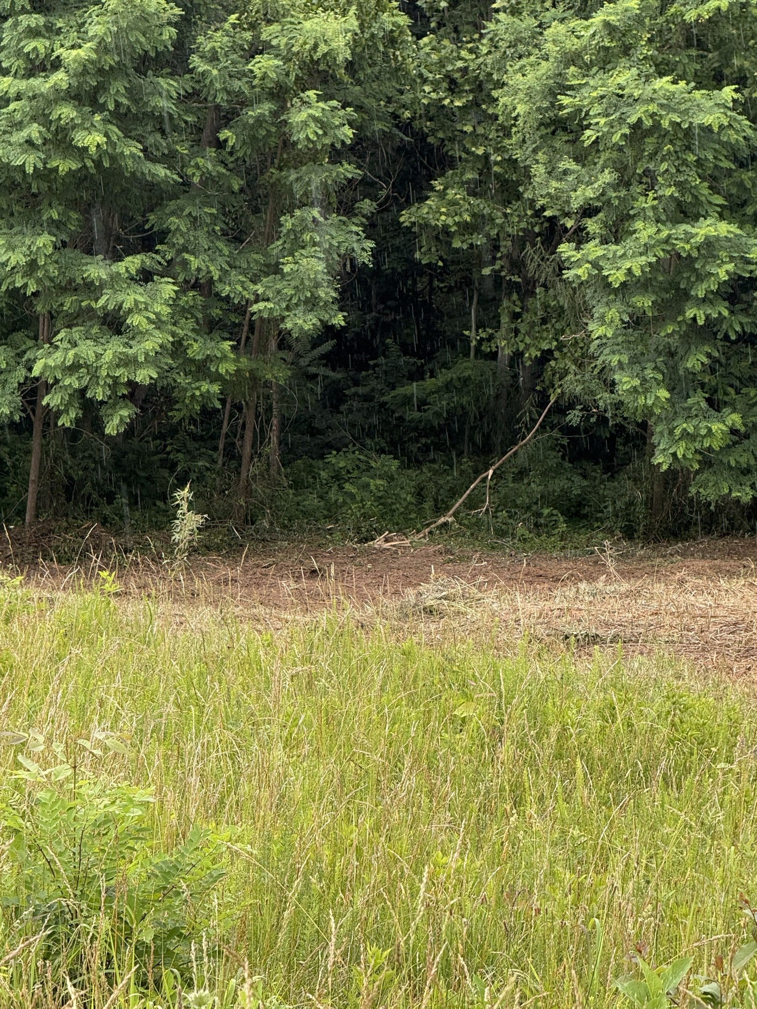 0 Mallard Rd