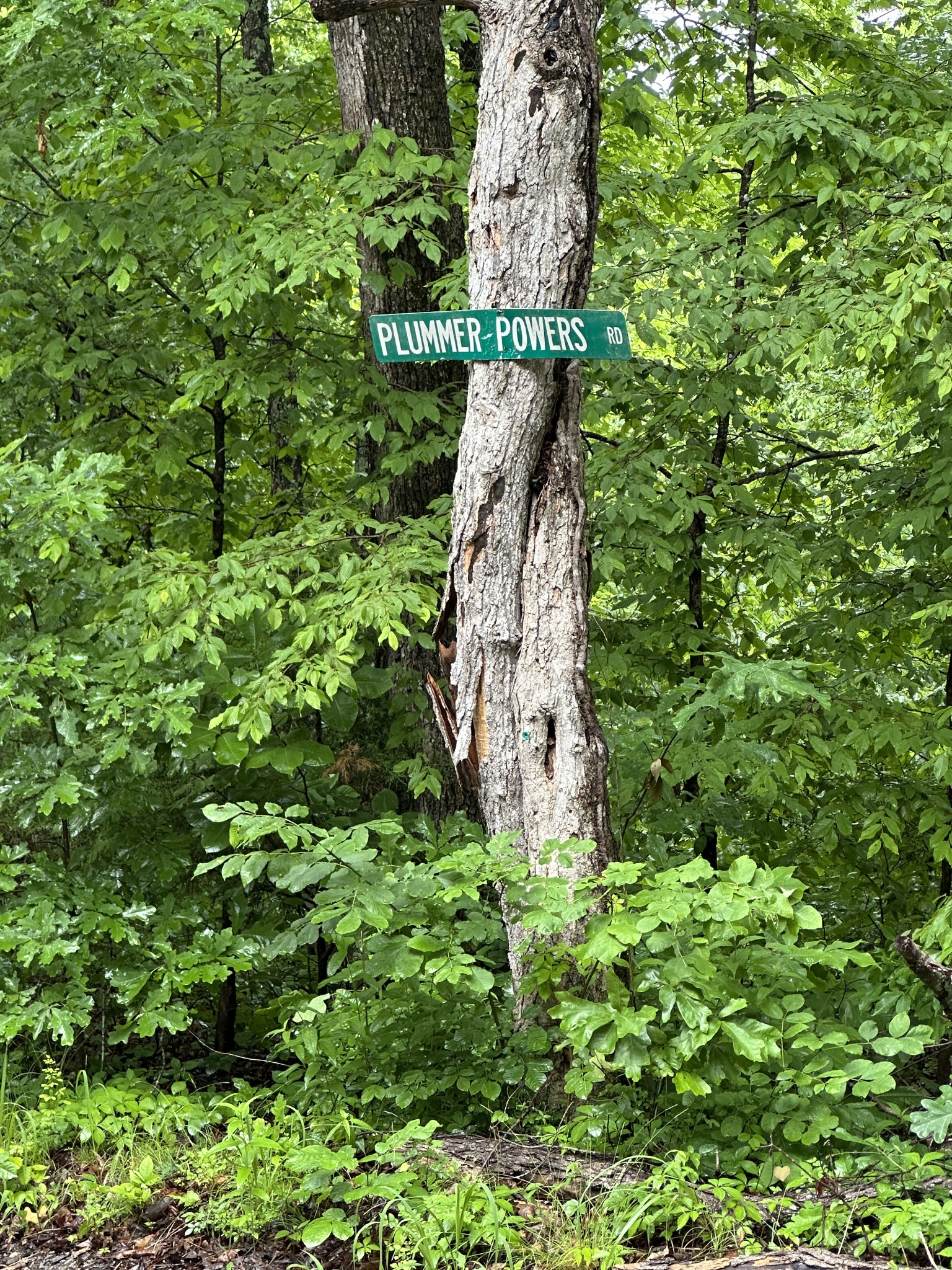 0 Gunson Ridge Road