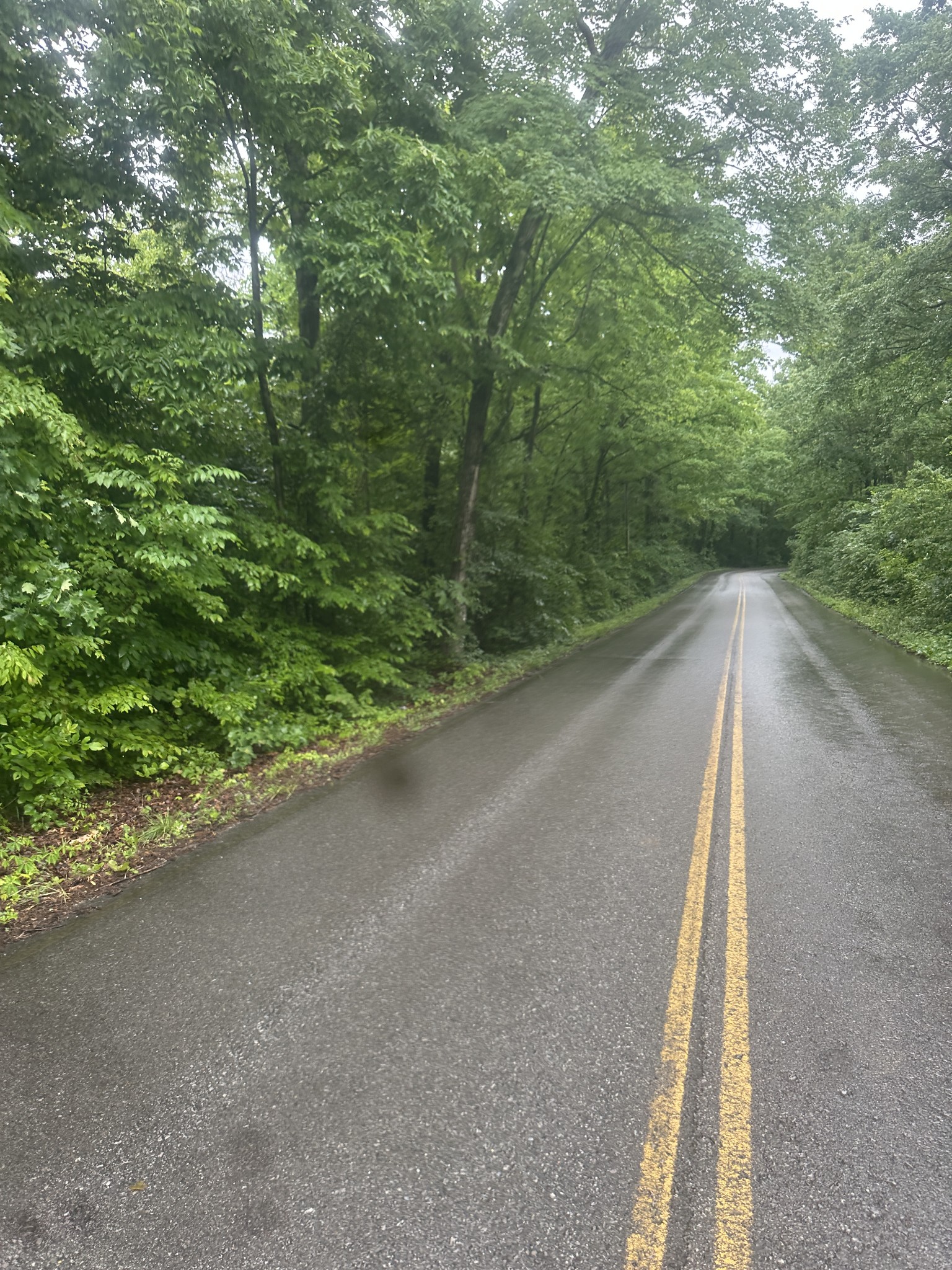 0 Gunson Ridge Road