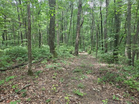 0 Blumont Drive Altamont TN 37301