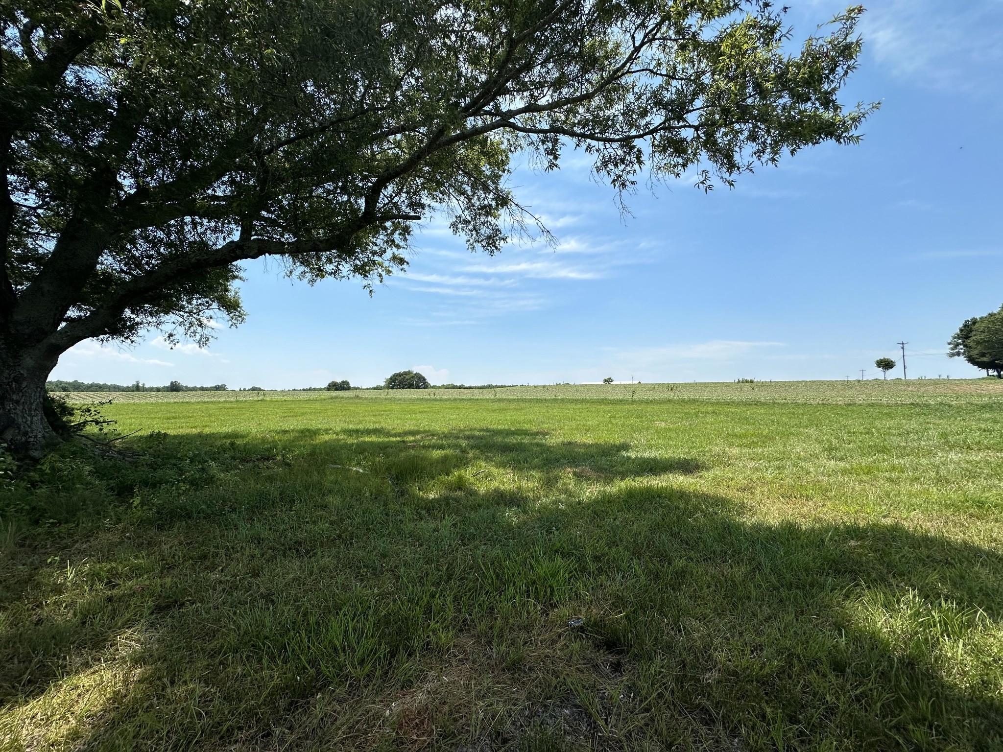 View Flintville, TN 37335 land