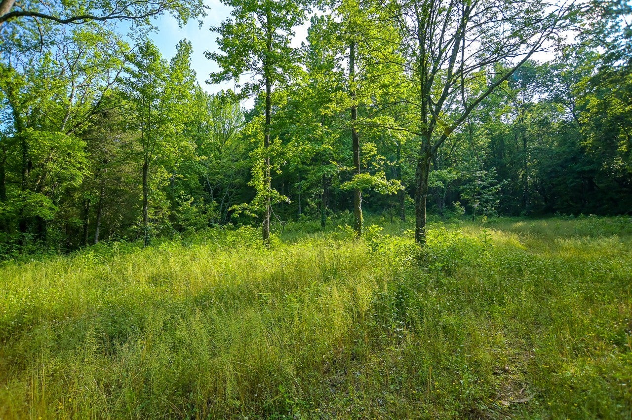 94 Short Creek Rd